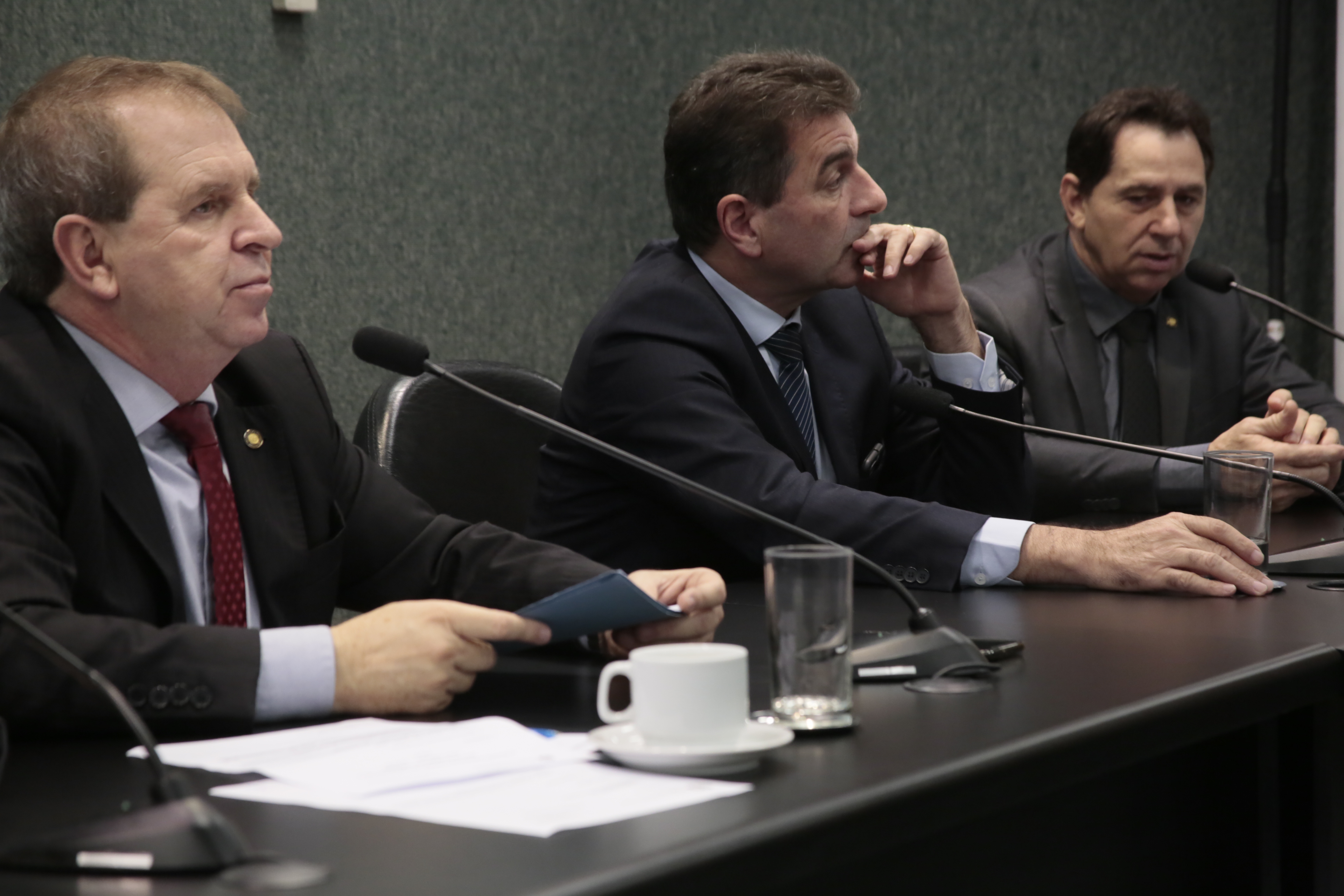 Comissão de Segurança Pública