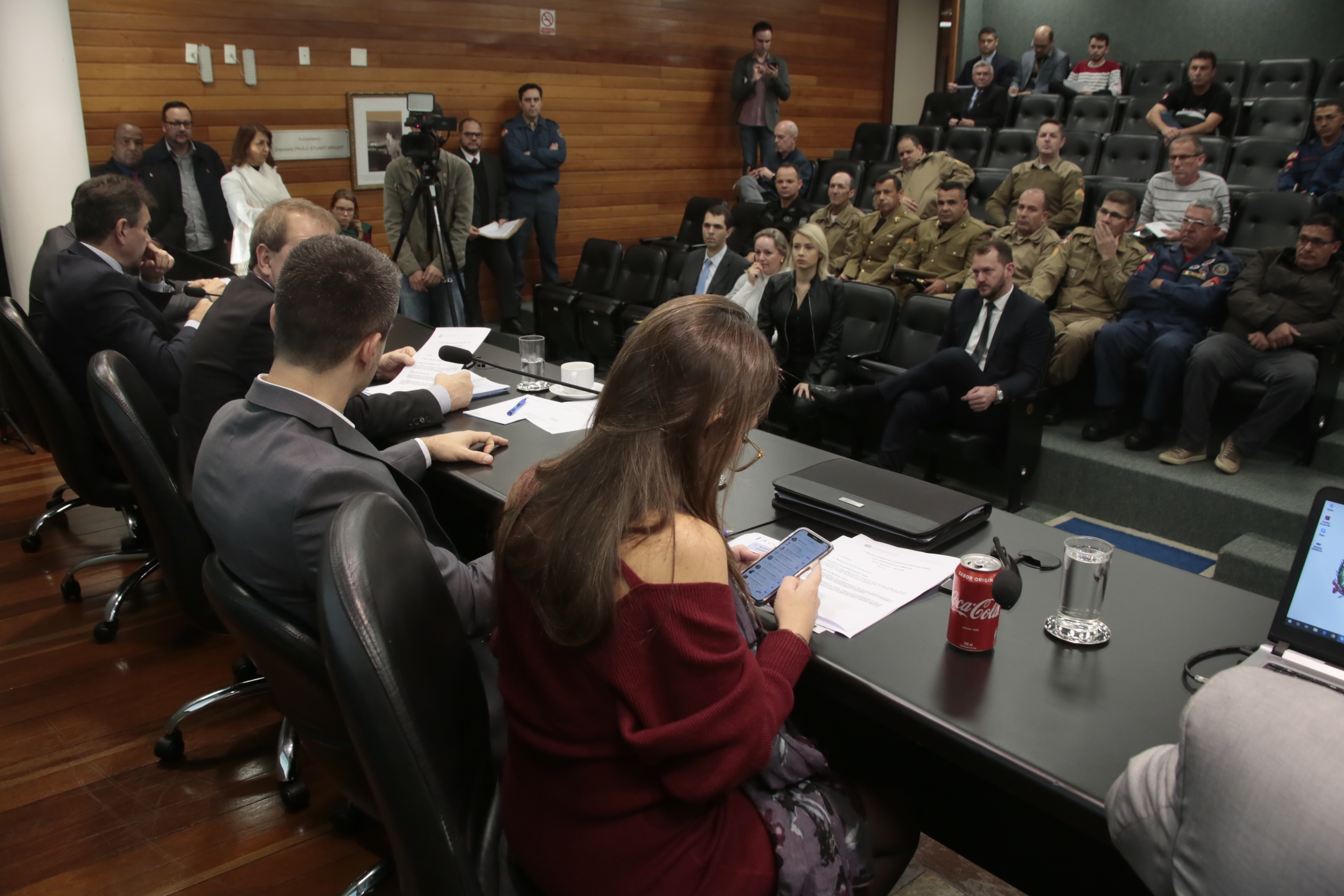 Comissão de Segurança Pública