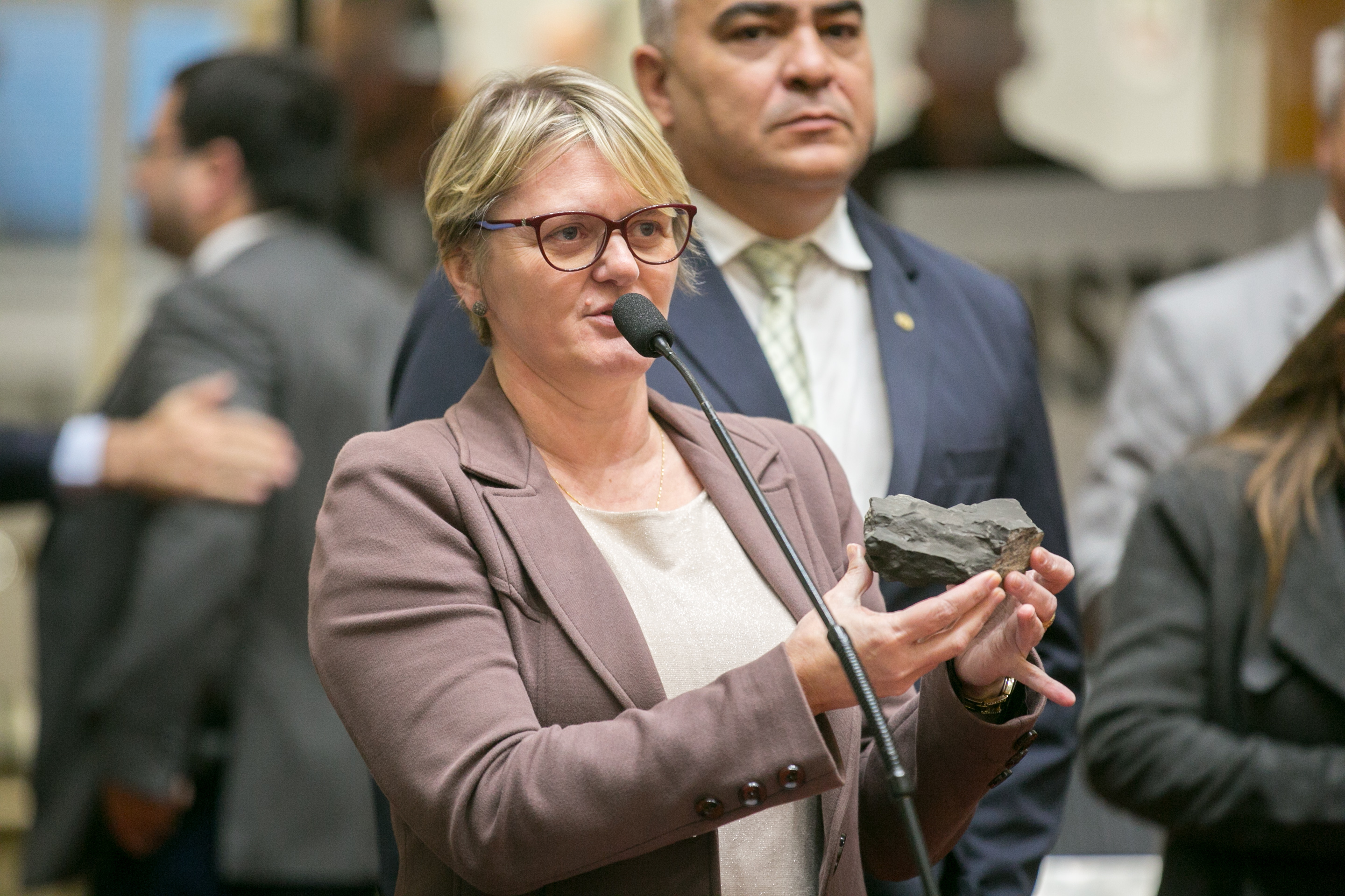 Deputada Luciane Carminatti (PT)