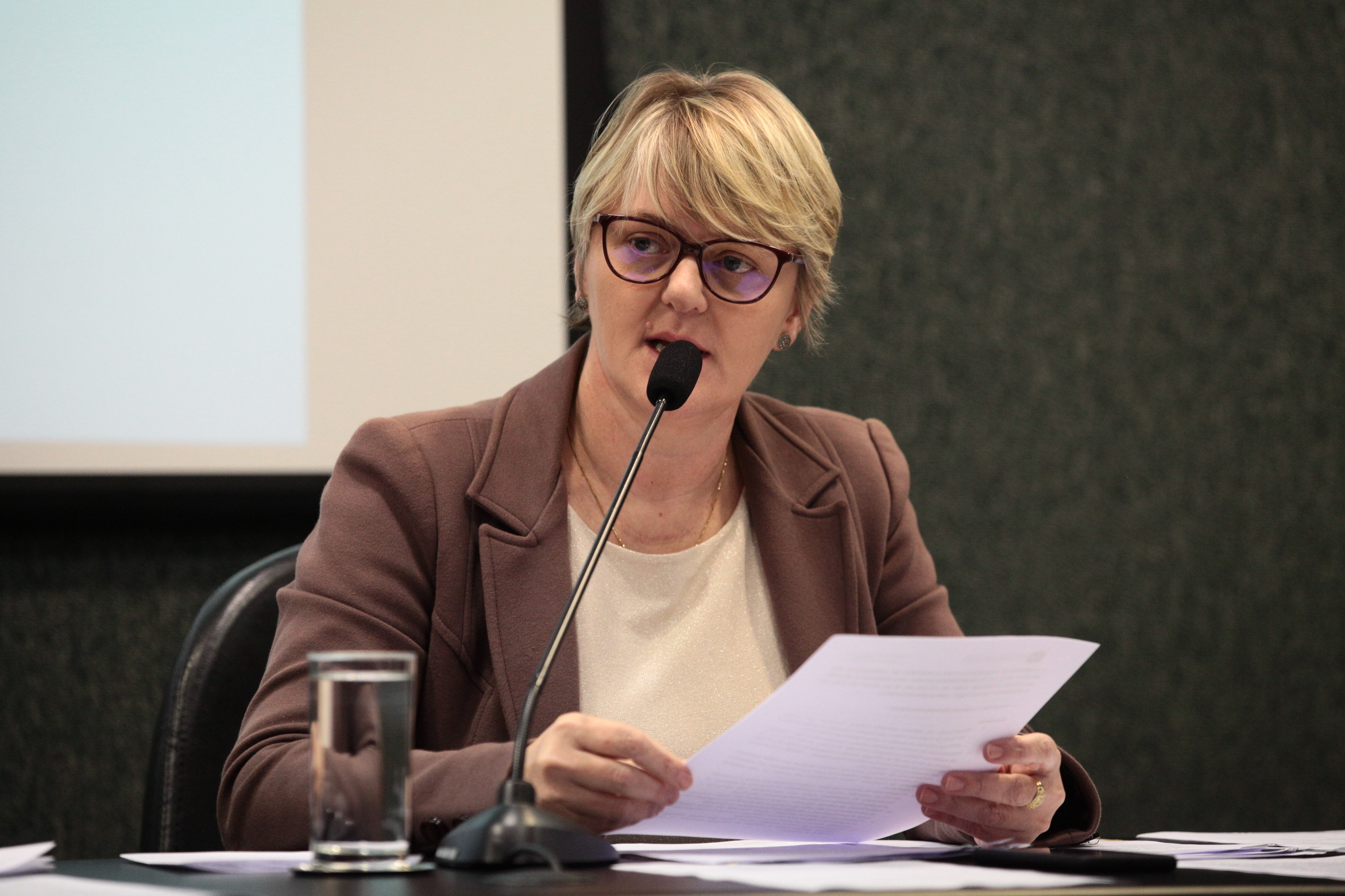 Comissão de Educação - Deputada Luciane Carminatti (PT)