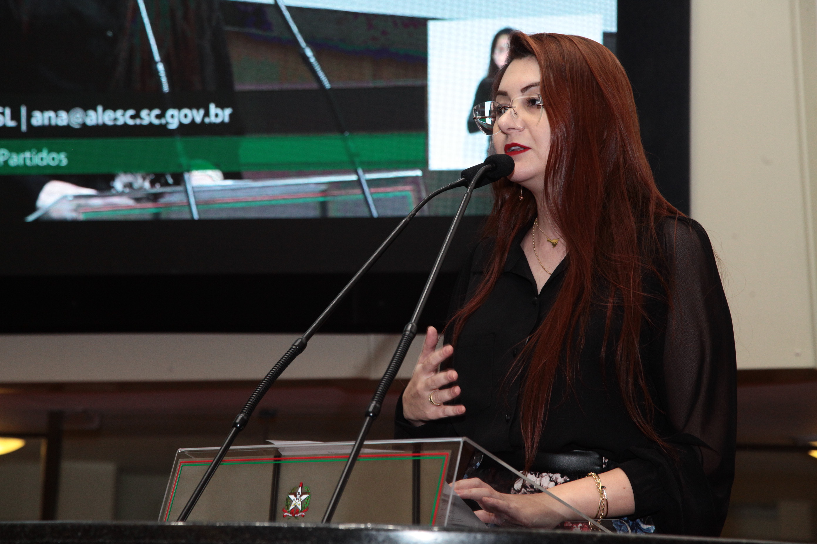 Sessão Ordinária em /07/2019 - Deputada Ana Caroline Campagnolo (PSL)
