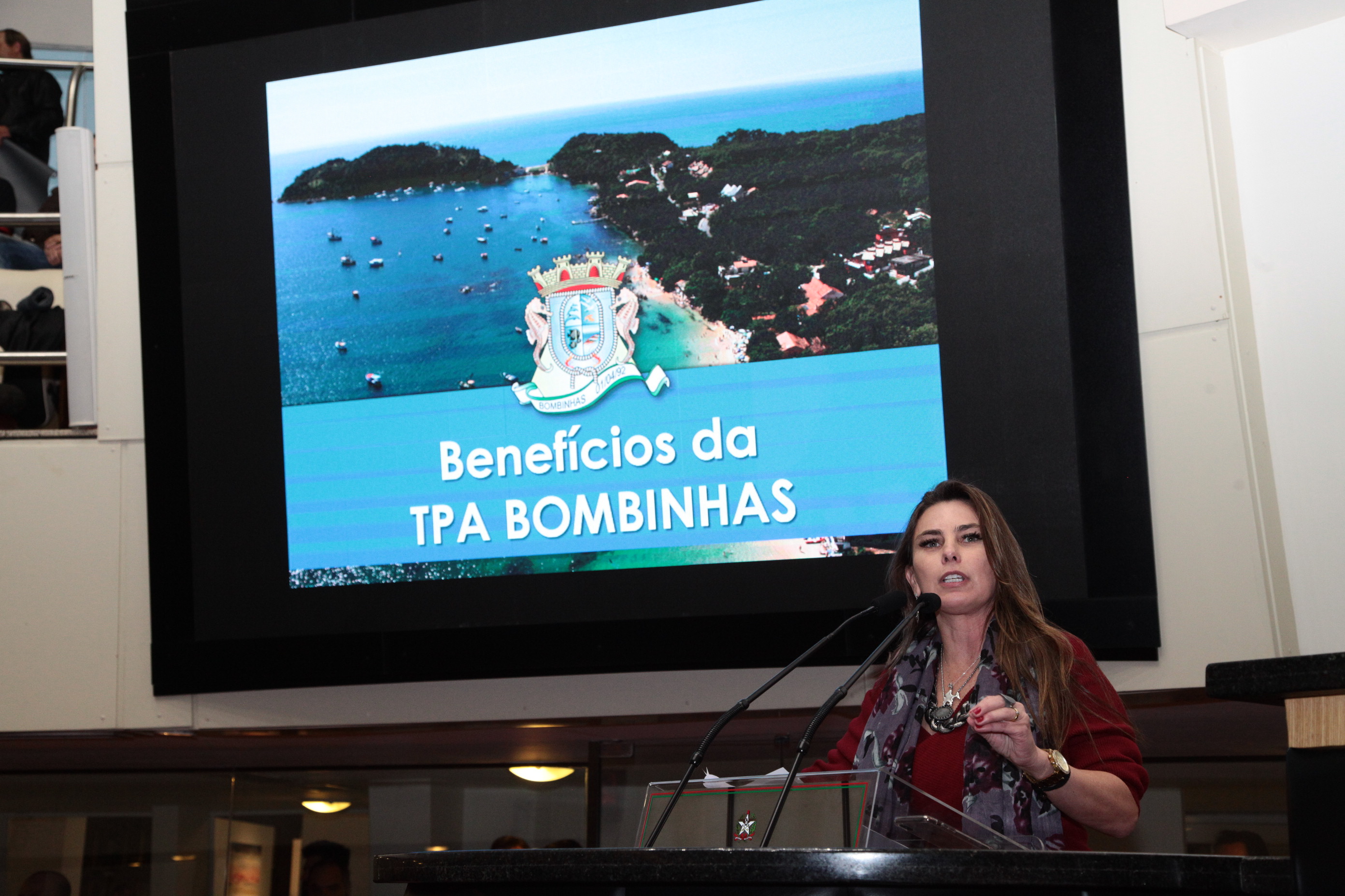 Sessão Ordinária em /07/2019 - Deputada Ana Paula da Silva (PDT)