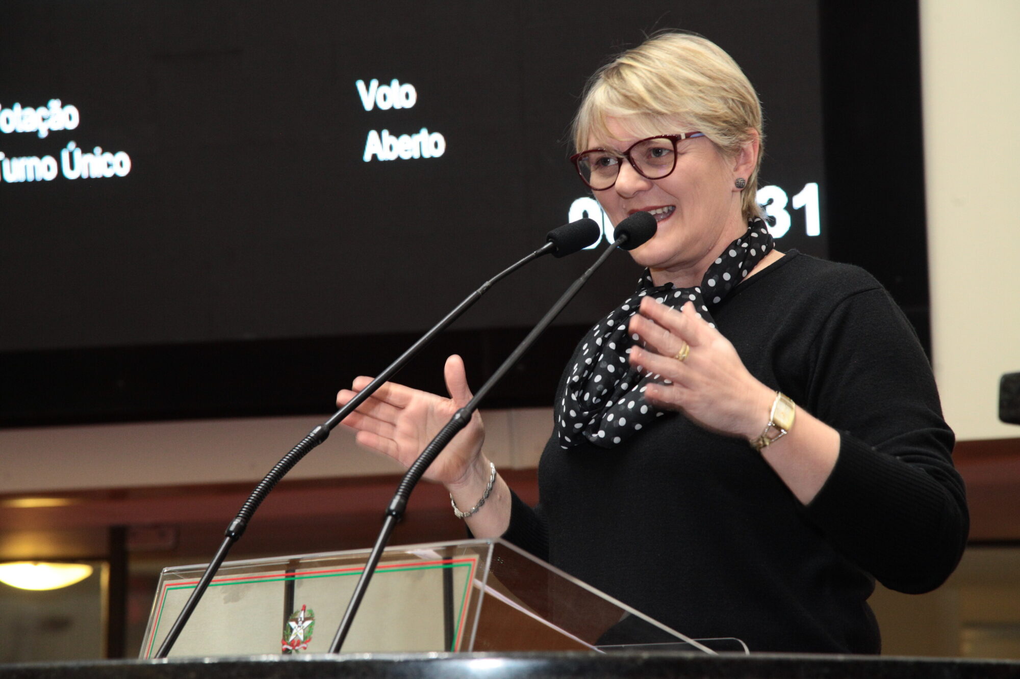 Deputada Luciane Carminatti
