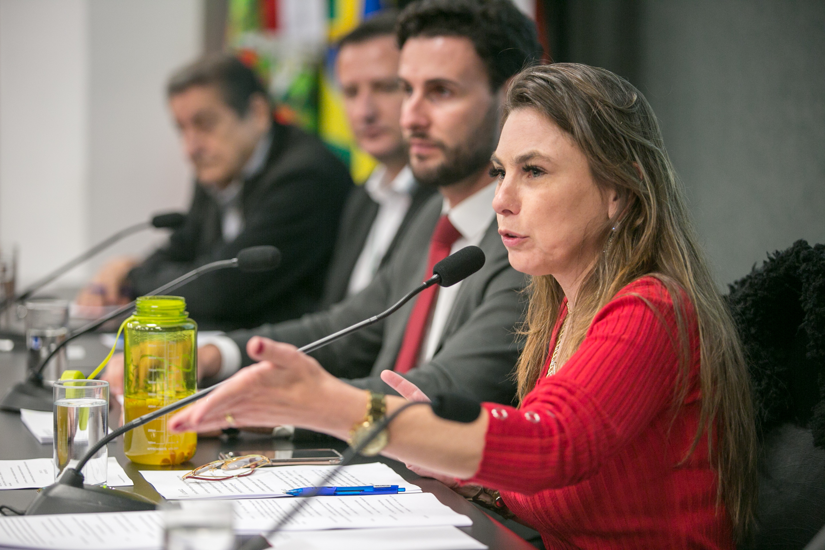 Deputada Paulinha (PDT)