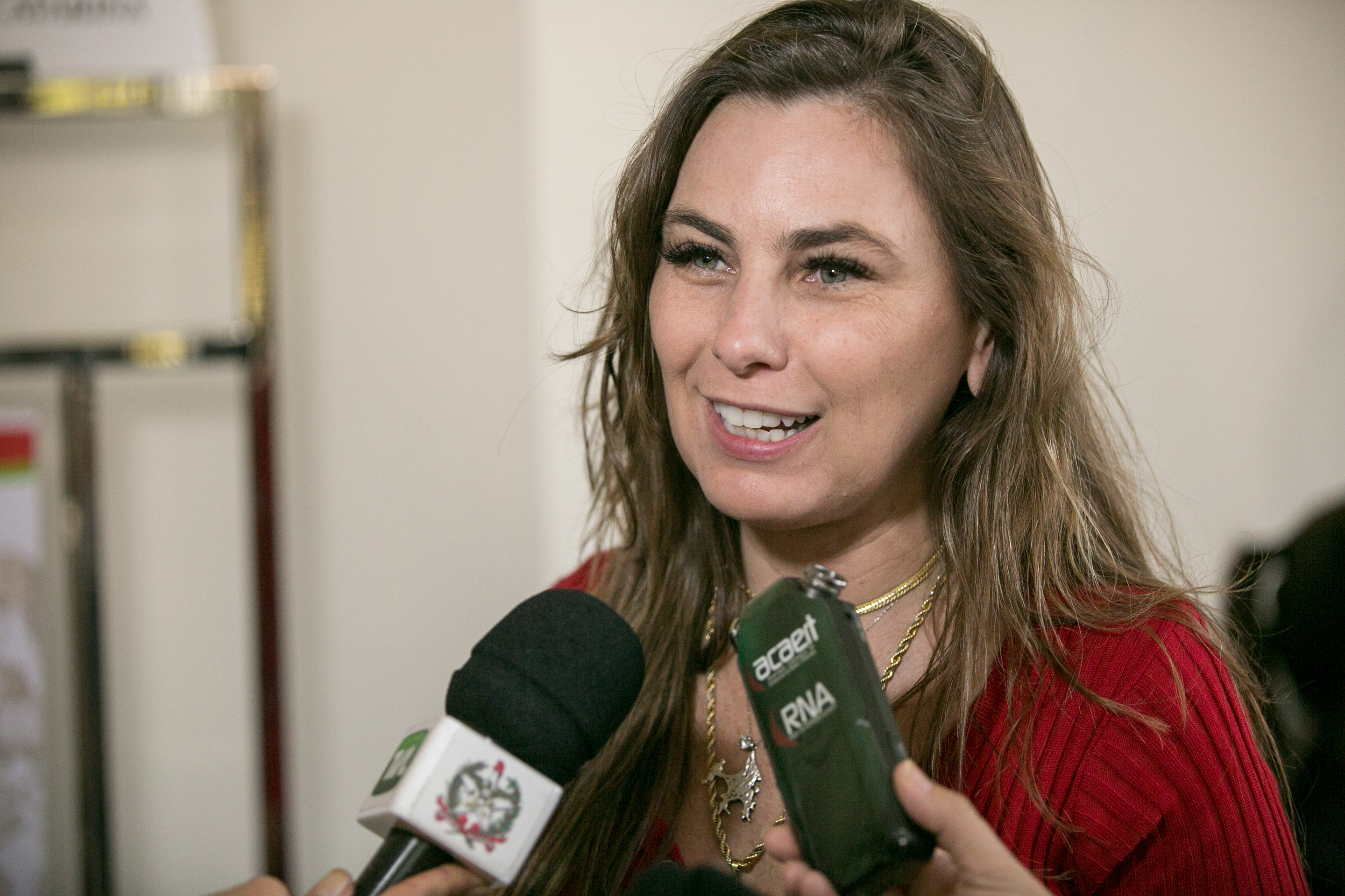 Deputada Paulinha (PDT)