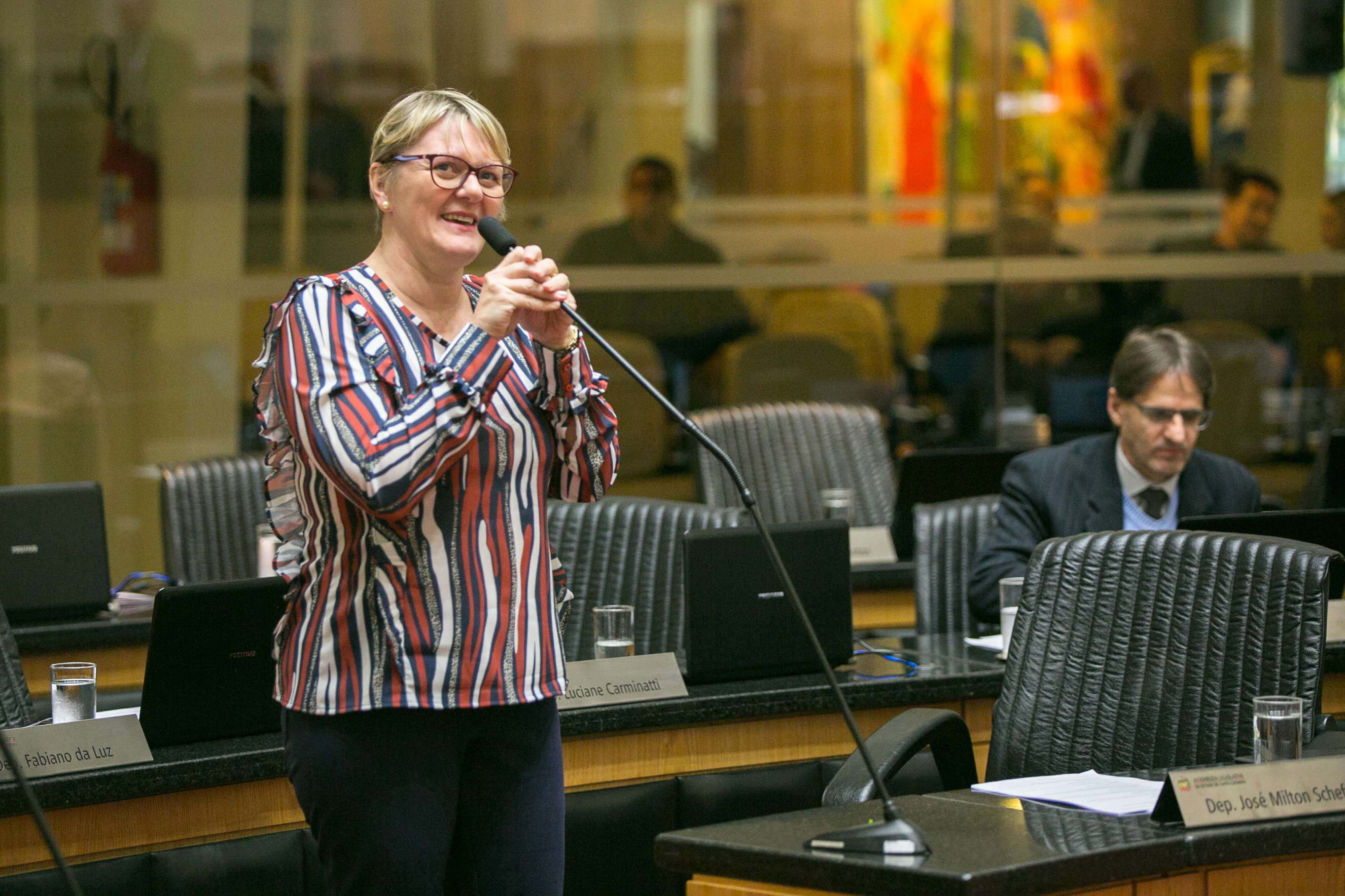 Deputada Luciane Carminatti (PT)