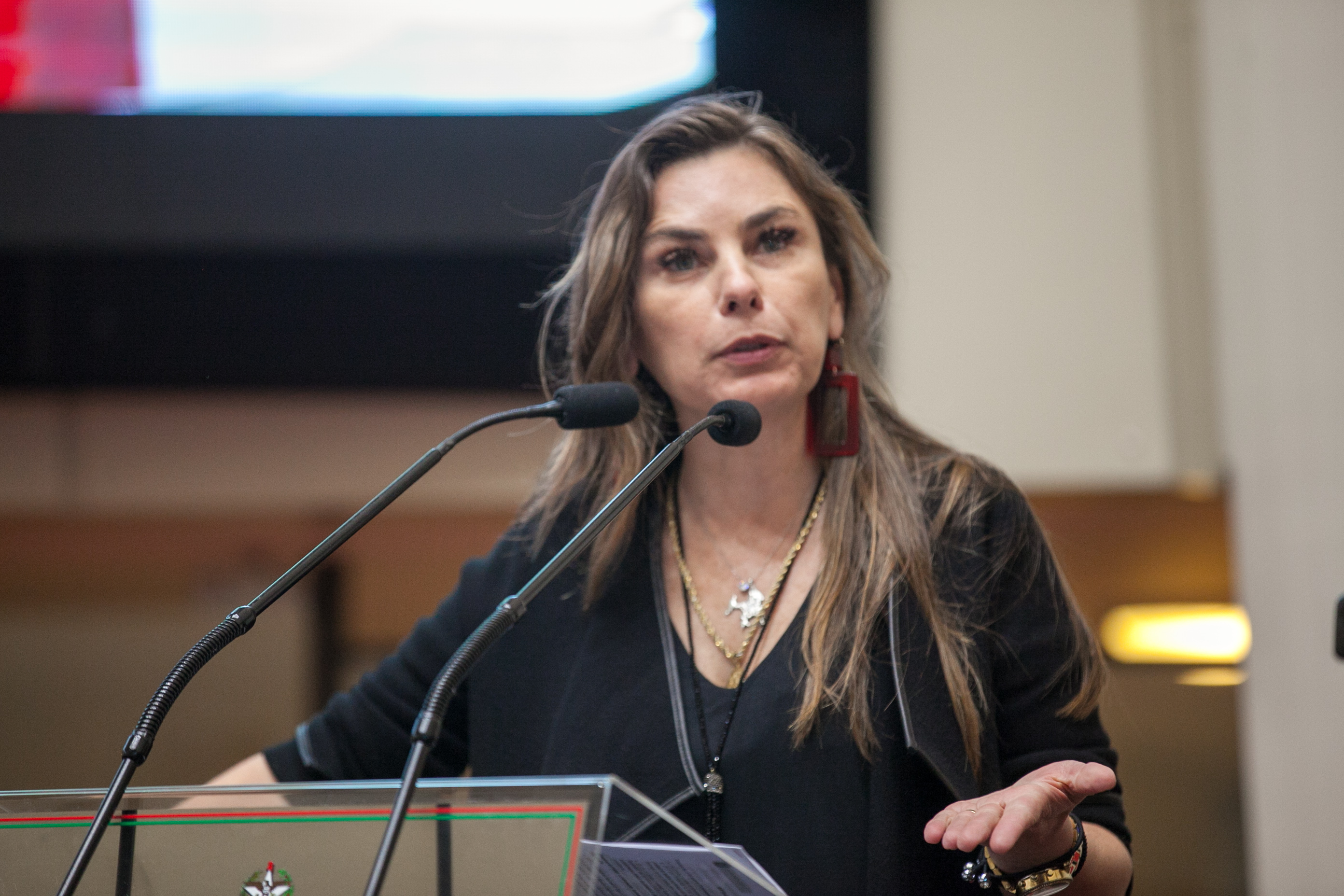 Deputada Paulinha (PDT)