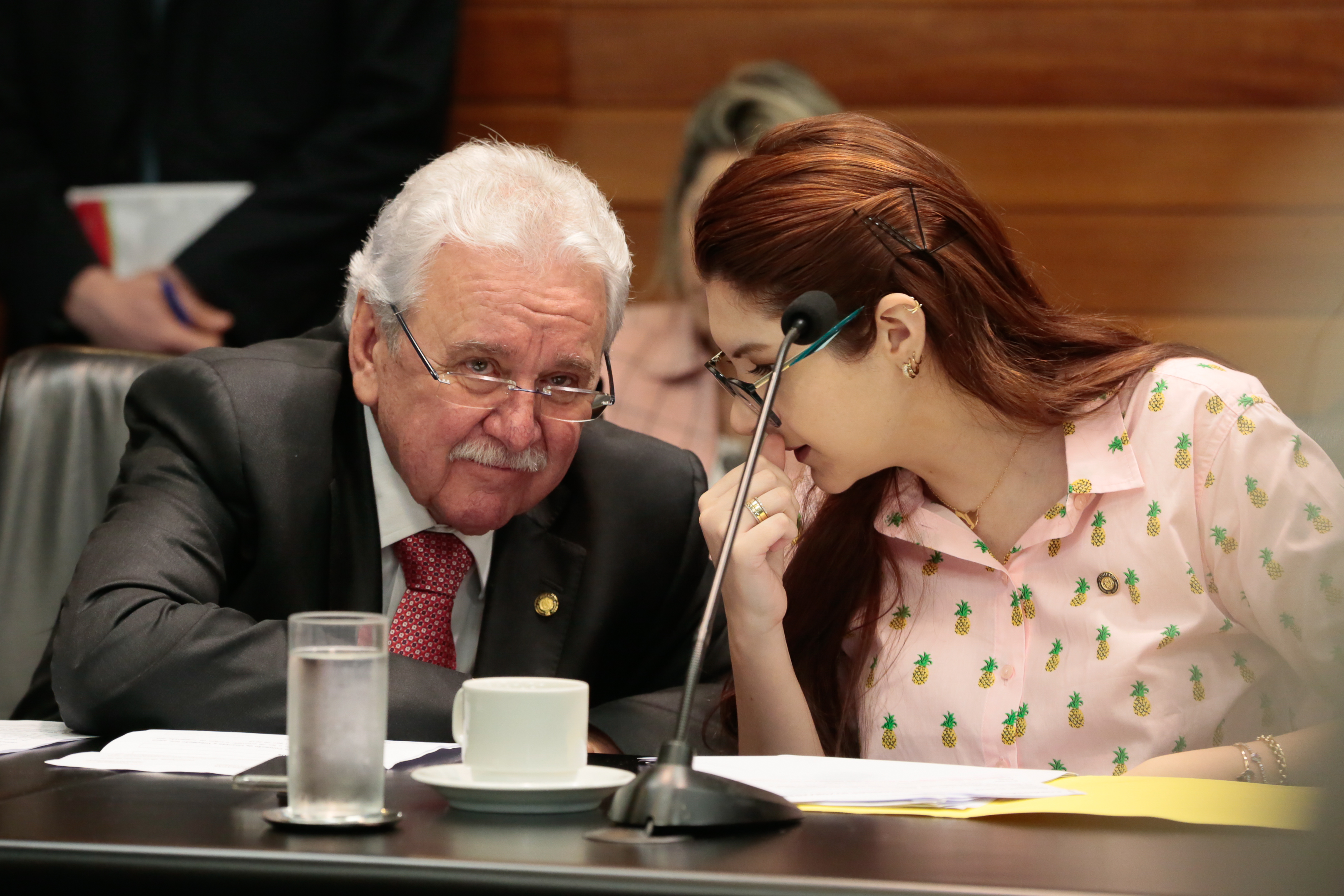 Comissão de Finanças e Tributação - Deputada Ana Paula Campagnolo (PSL) e Deputado Moacir Sopelsa (MDB)