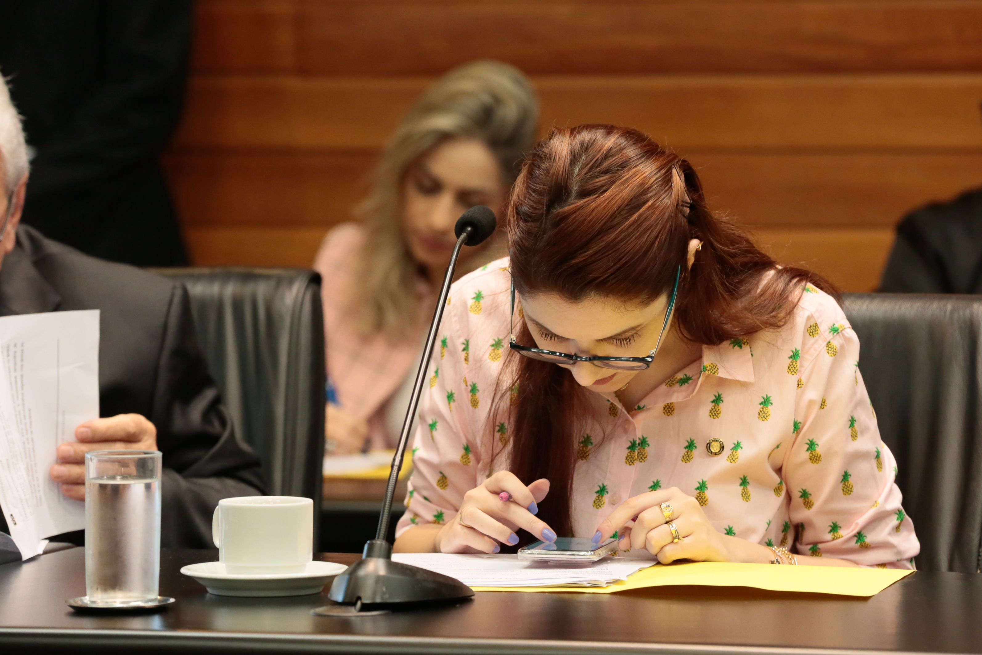 Comissão de Finanças e Tributação - Deputada Ana Paula Campagnolo (PSL)