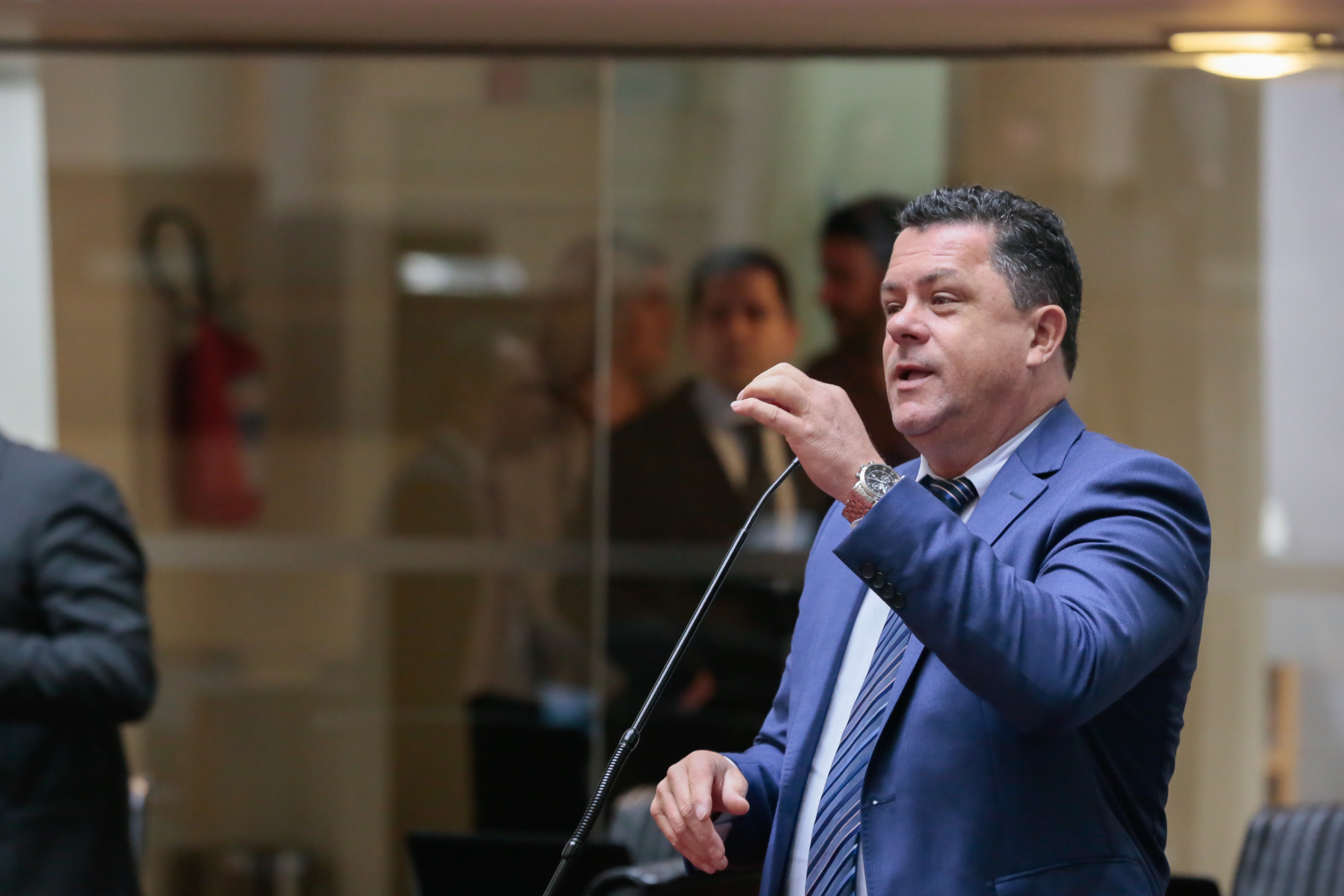 Sessão Ordinária - Deputado Ivan Naatz (PV)