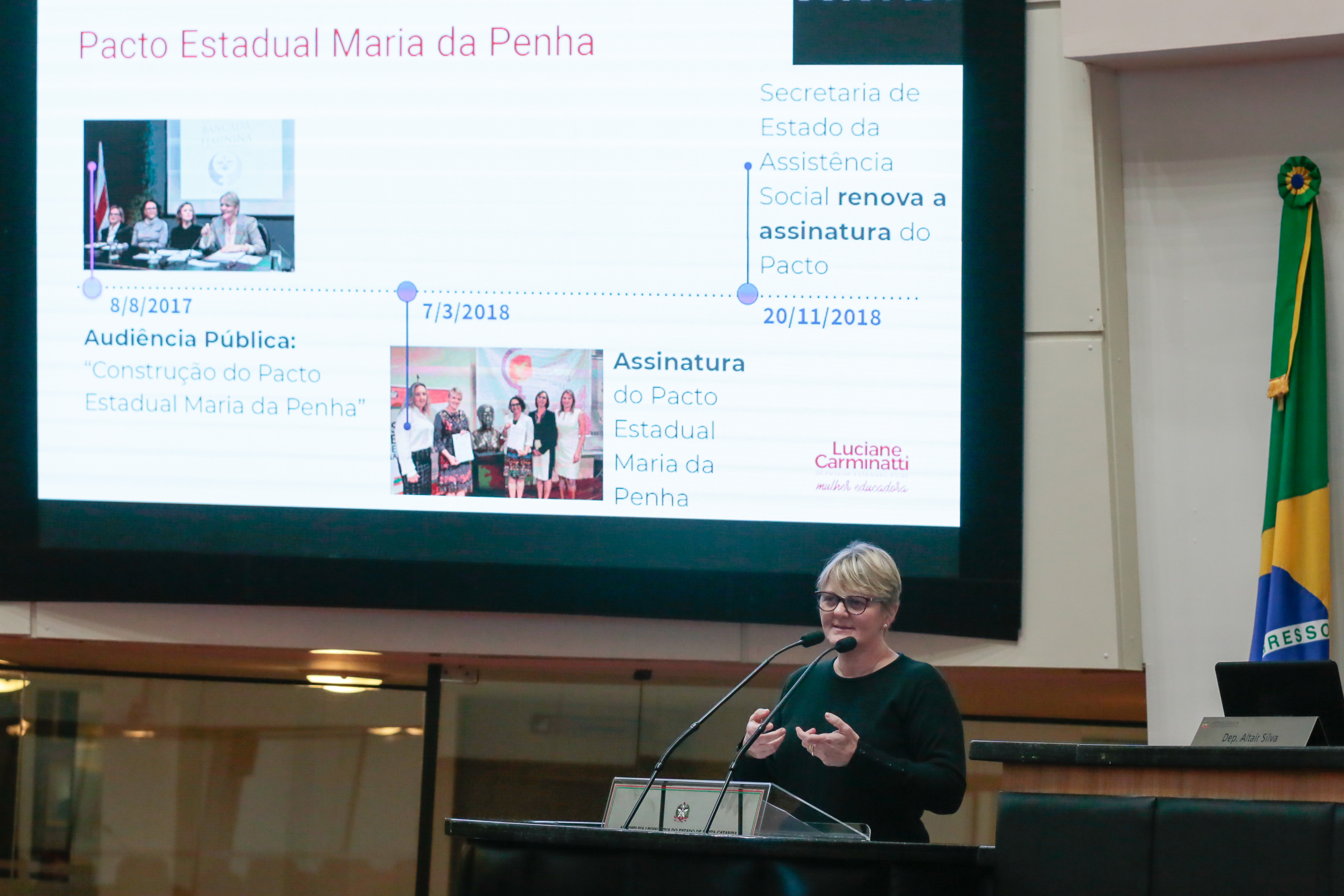 Sessão Ordinária -  Deputada Luciane Carminatti (PT)