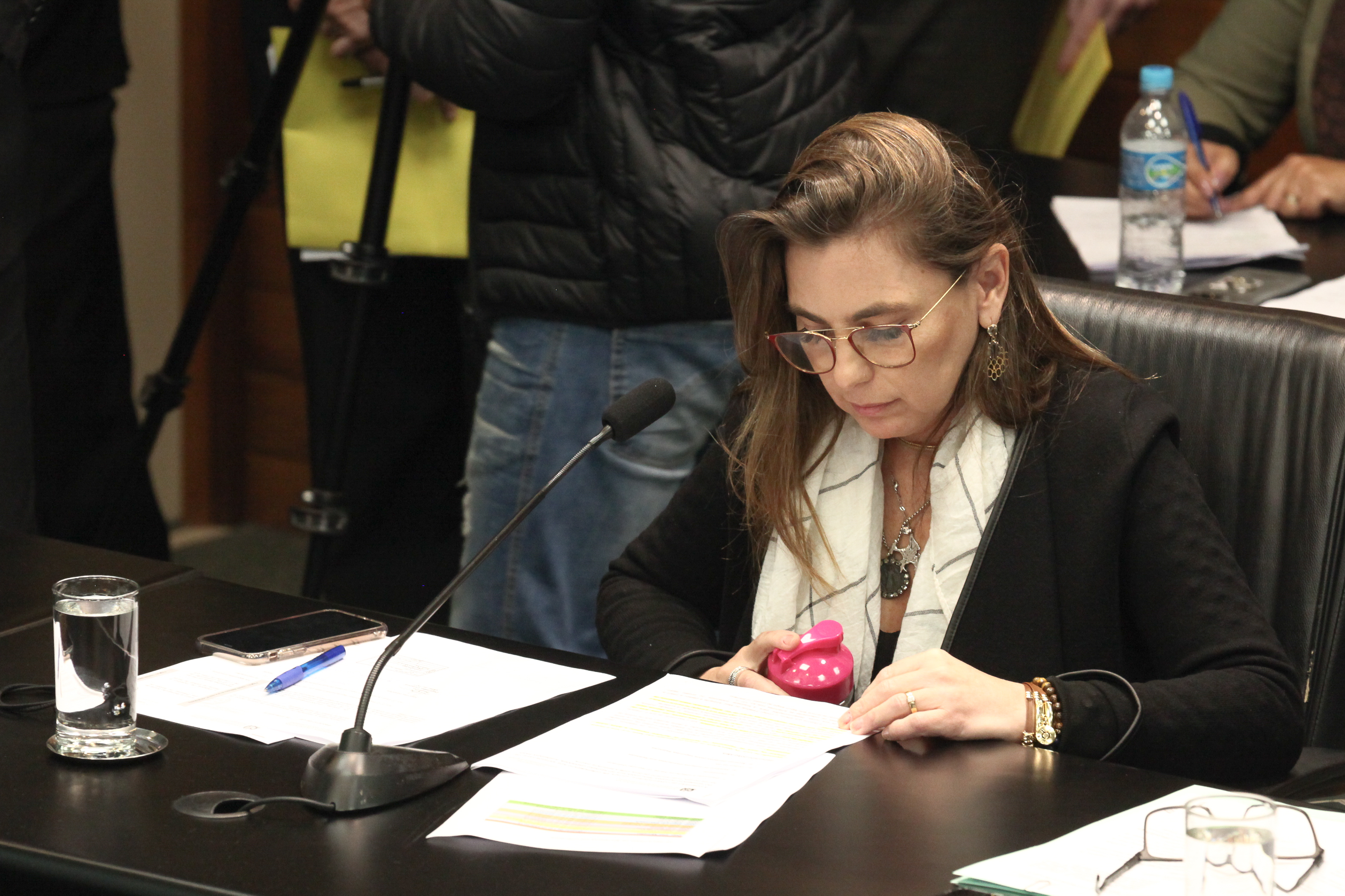 Comissão de Constituição e Justiça Deputada Ana Paula da Silva (PDT)