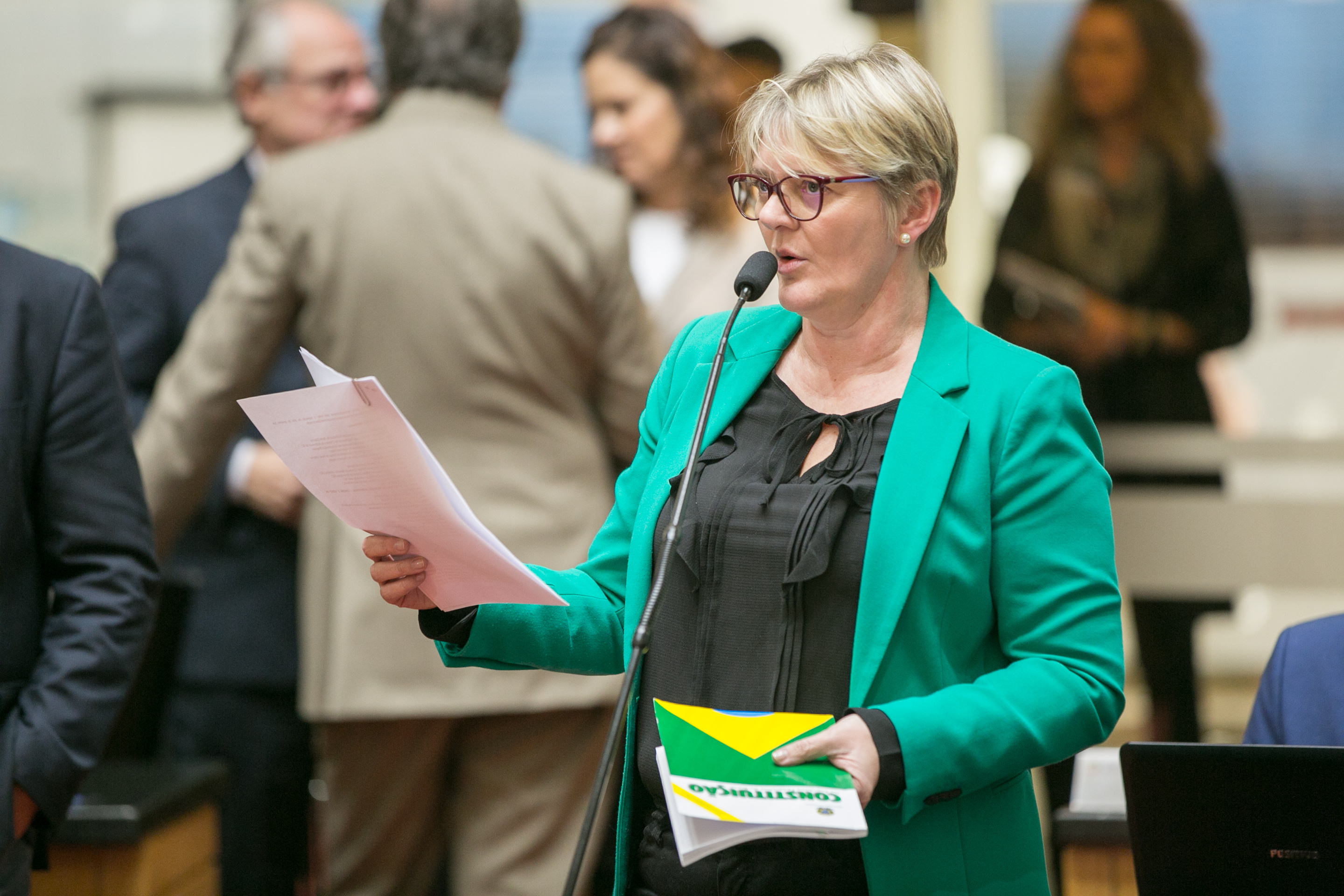 Deputada Luciane Carminatti (PT)