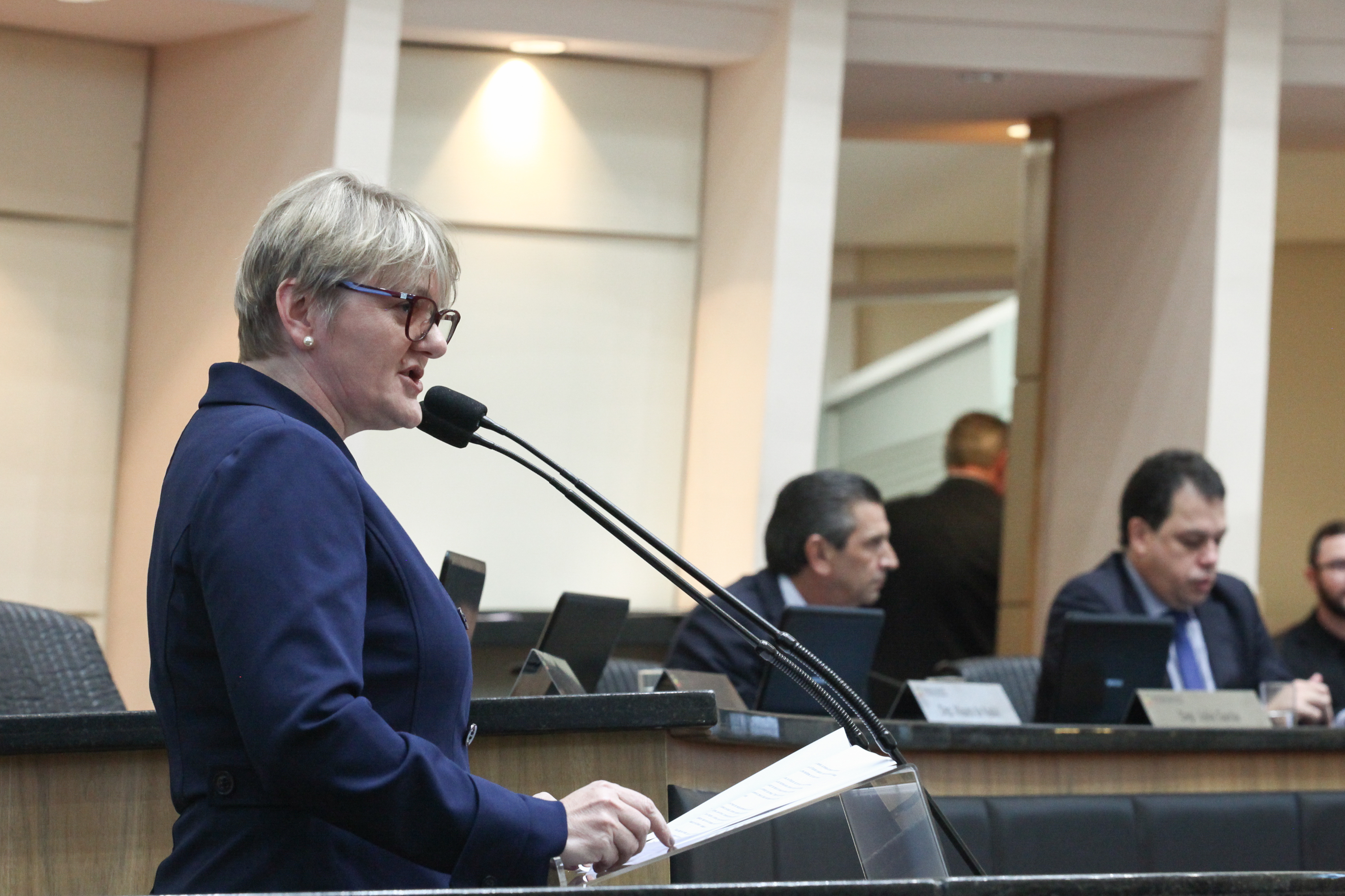Sessão Ordinária - Deputada Luciane Carminatti (PT)