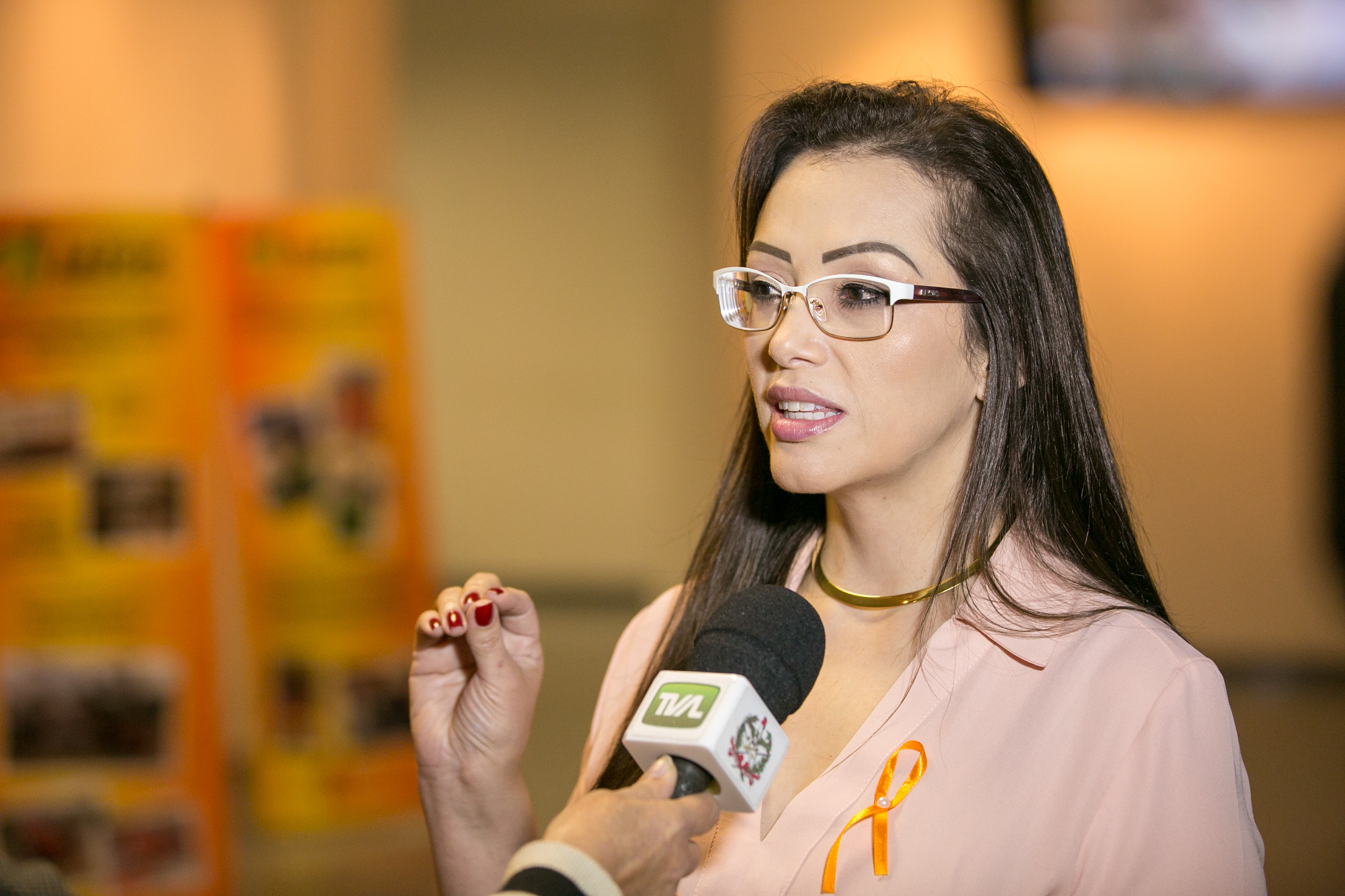 Vice-presidente da AAPM, Edina Mara de Paula Esmeraldino