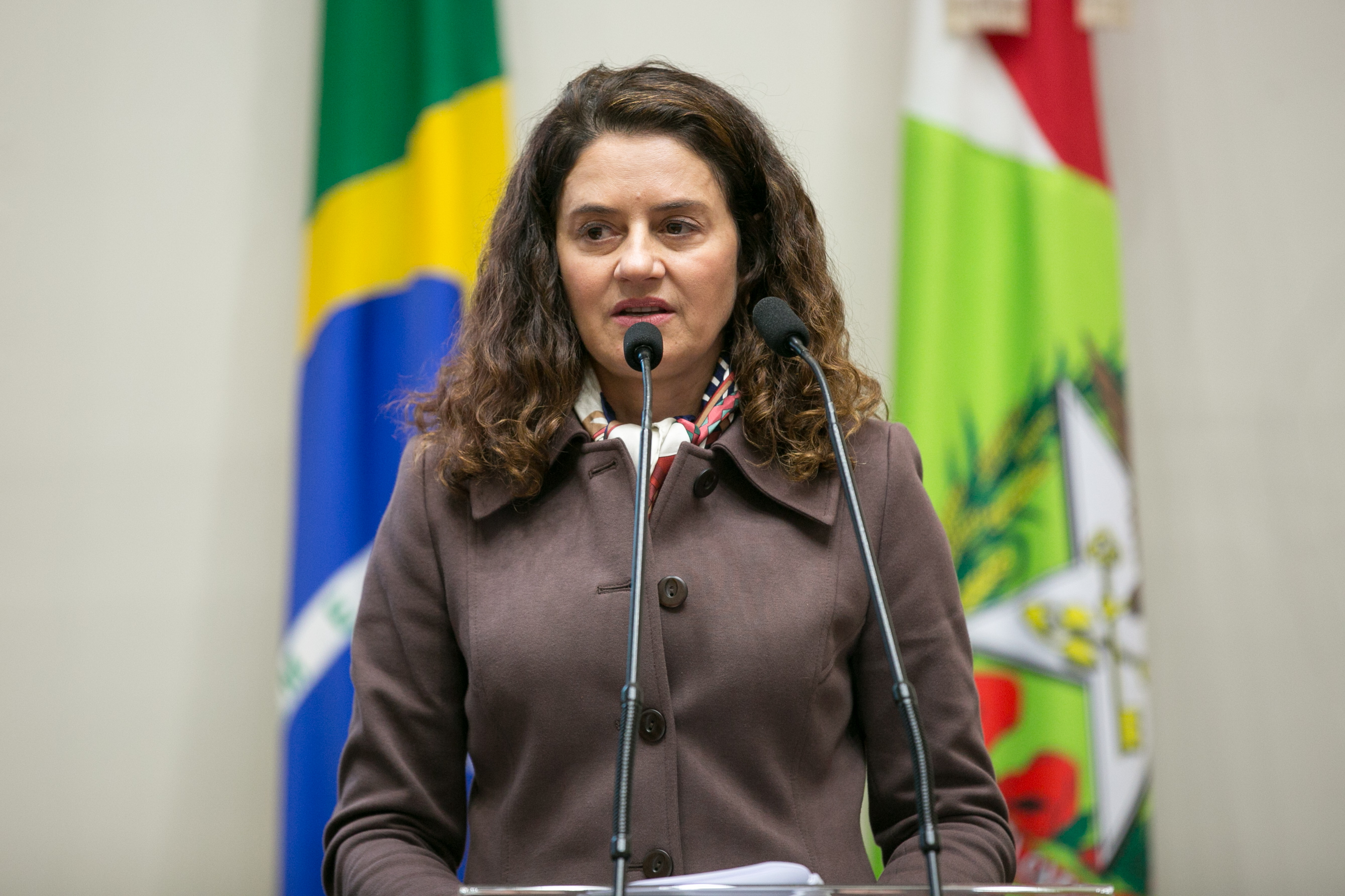 Deputada Marlene Fengler (PSD)