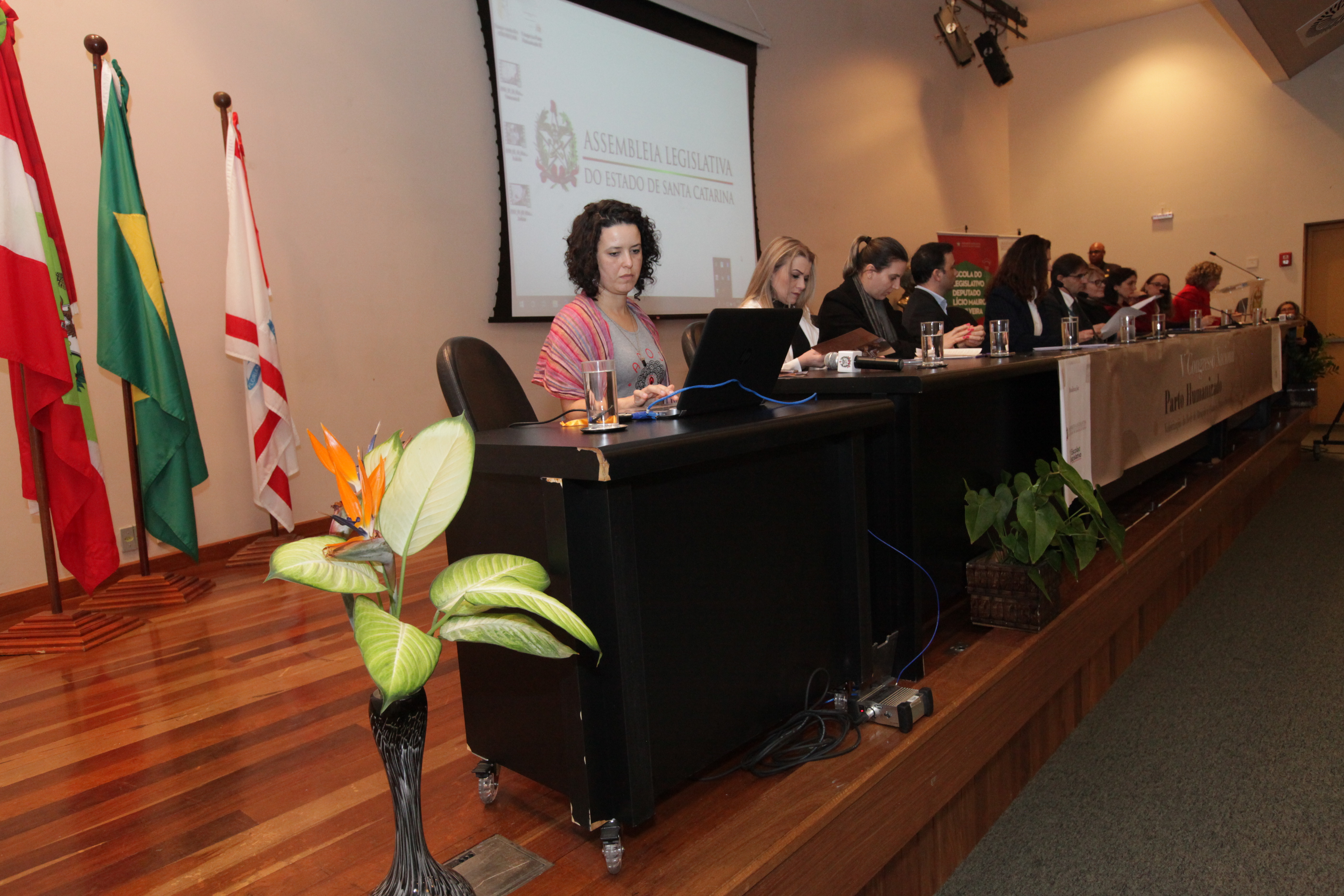 V Congresso Nacional do Parto Humanizado