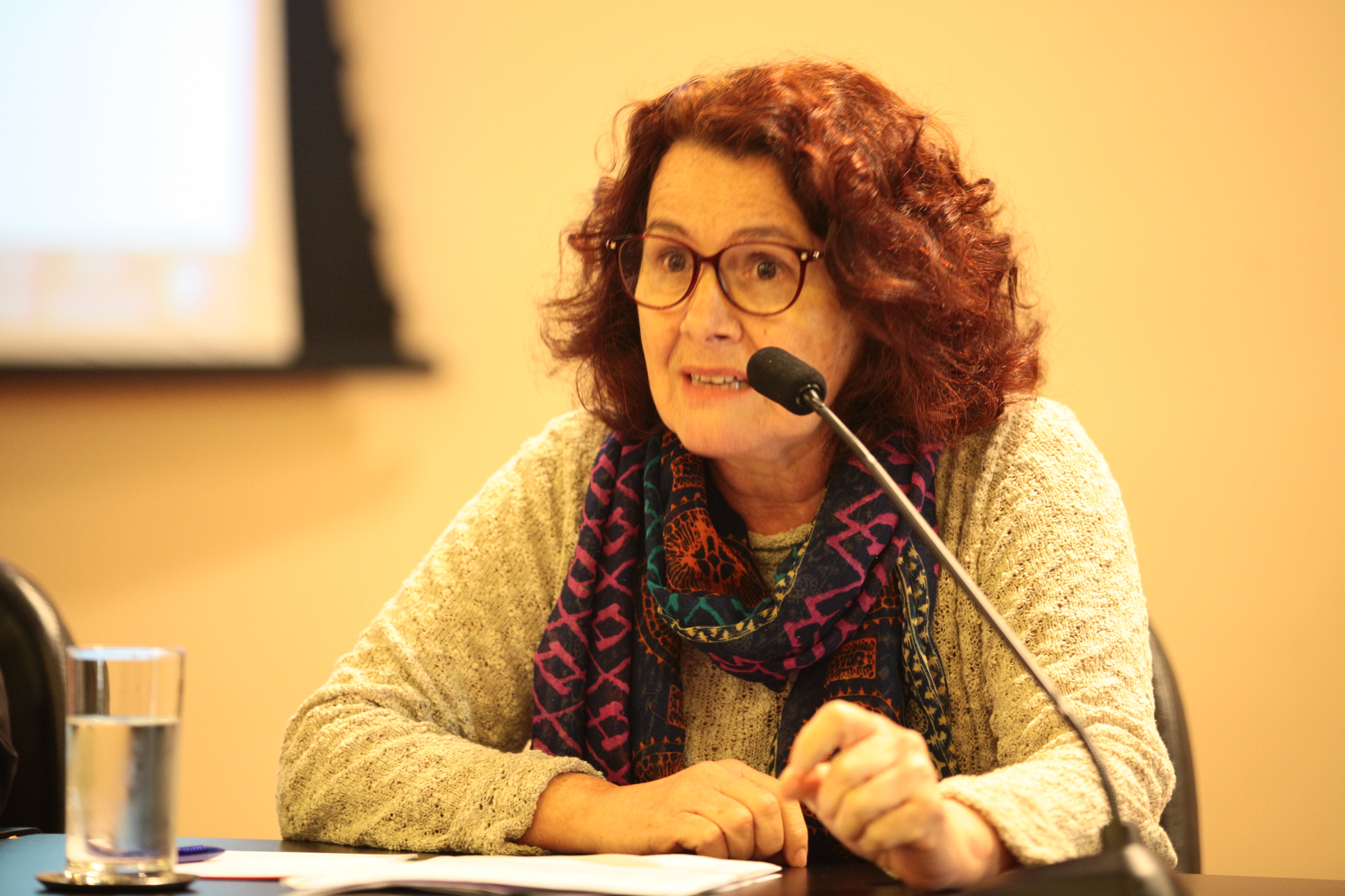 Seminário Inovação Científica na Escola - Rita de Cássia (SBPC)
