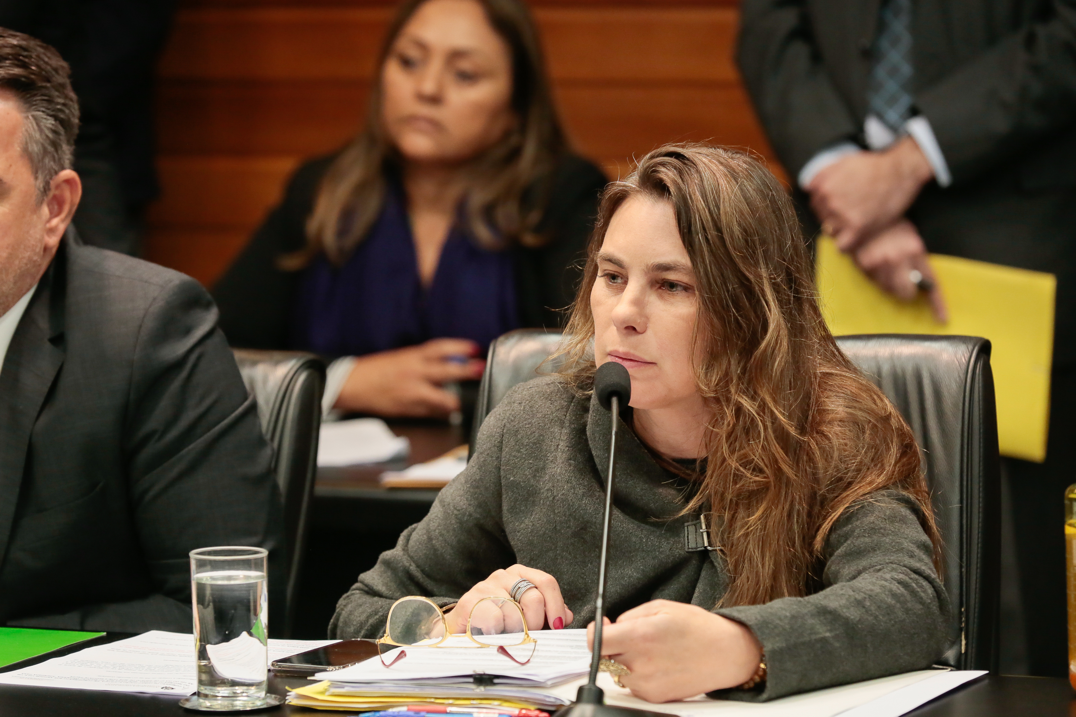 Comissão de Constituição e Justiça