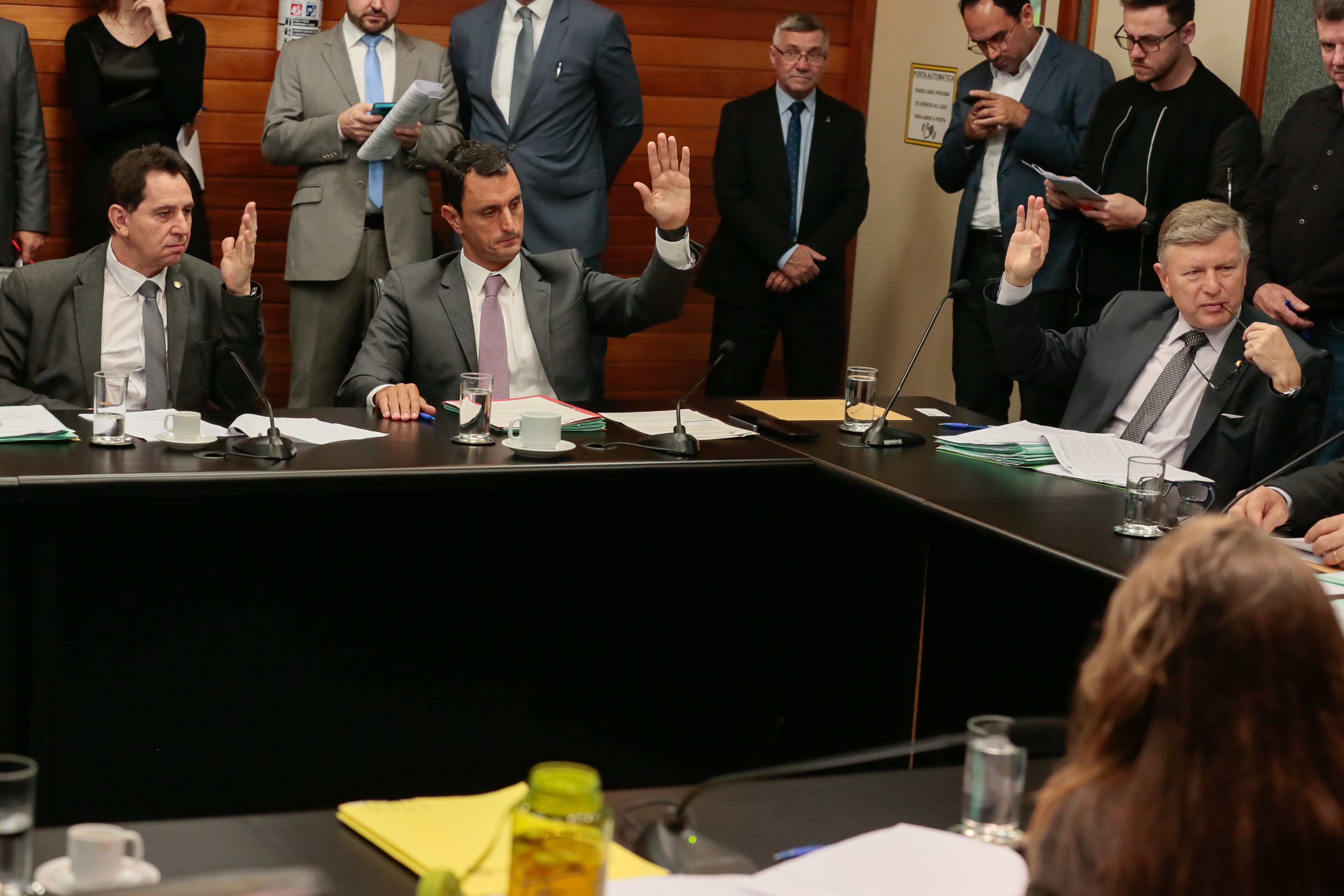 Comissão de Constituição e Justiça