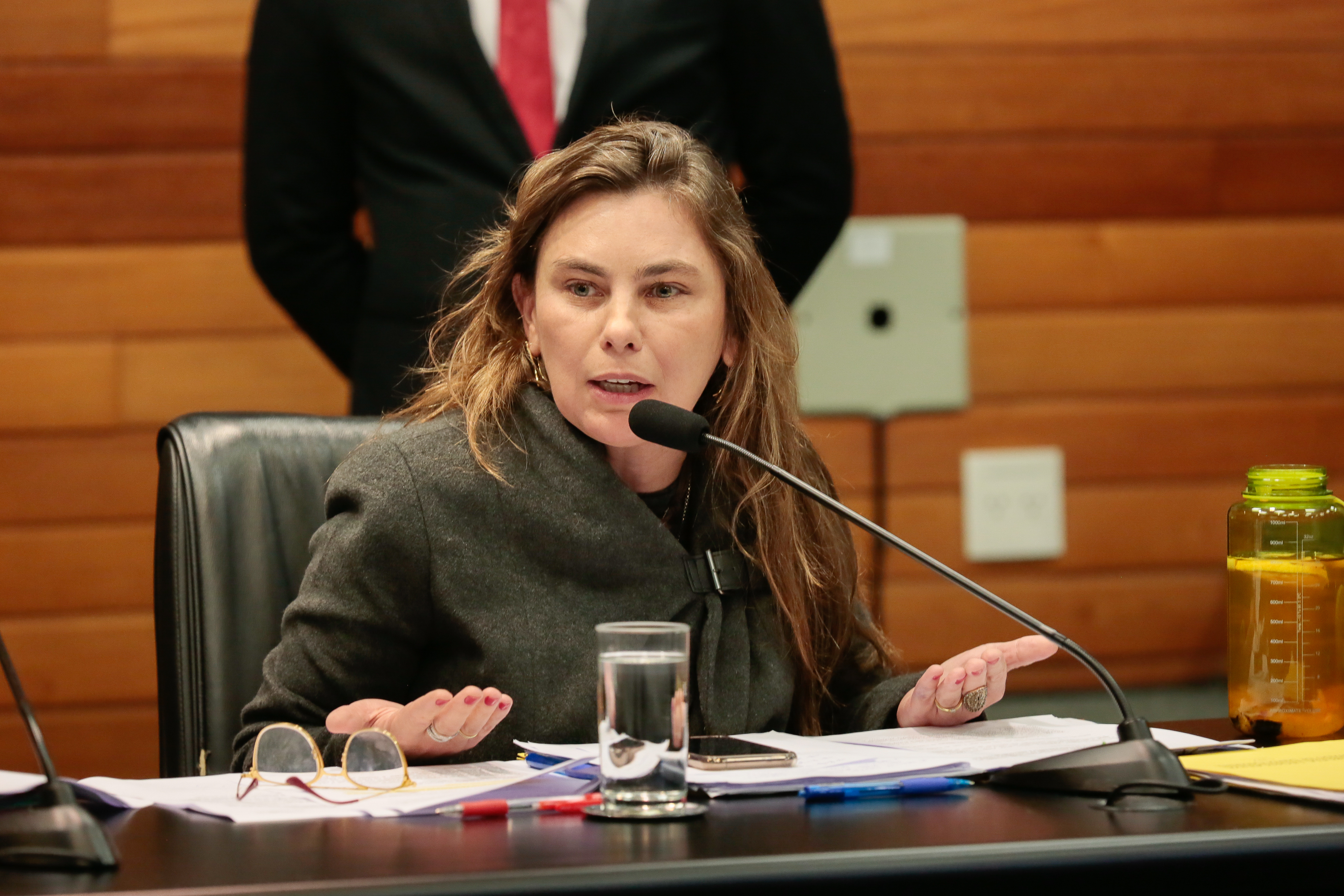 Comissão de Constituição e Justiça - Deputada Paulinha (PDT)