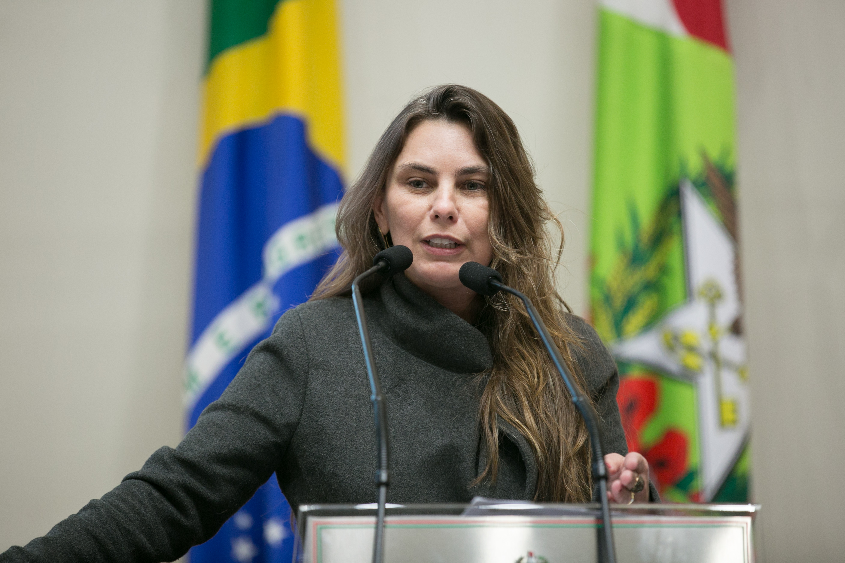 Deputada Paulinha (PDT)