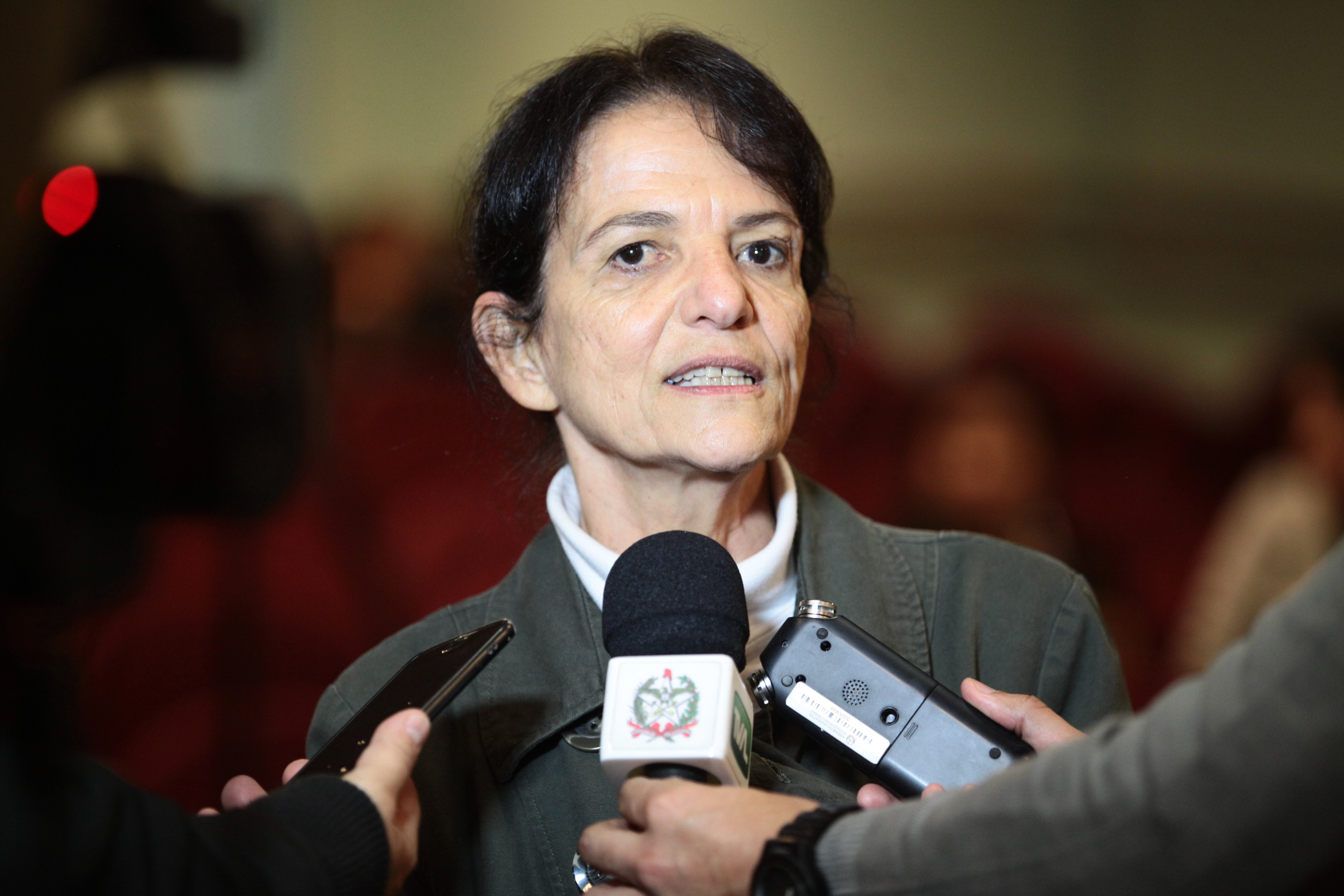 Audiência Pública sobre o Sistema de Cultura e Patrimônio Cultura - Rea Silvia Barbosa , consultora em Gestão Cultural