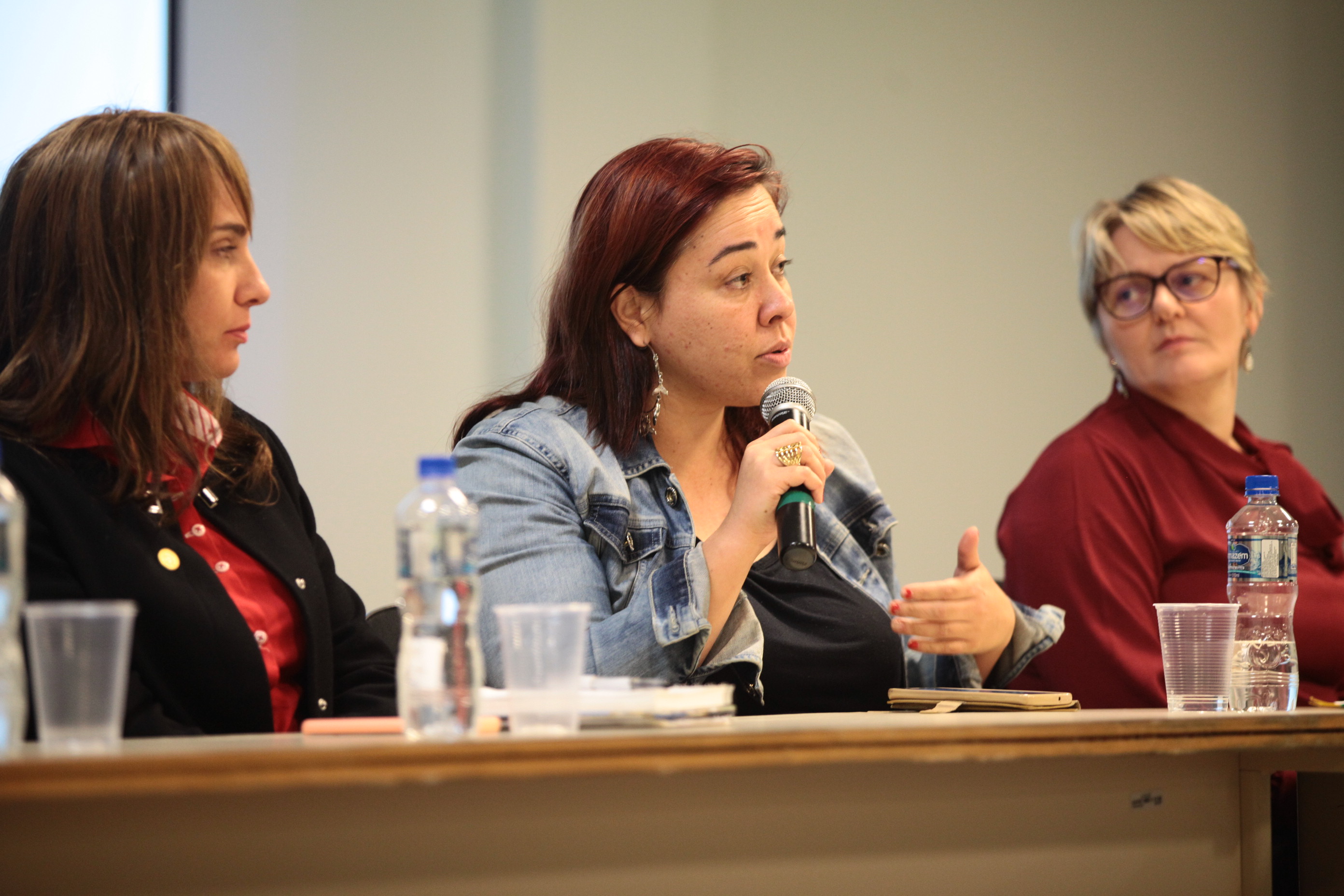 Audiência Pública sobre o Sistema de Cultura e Patrimônio Cultura