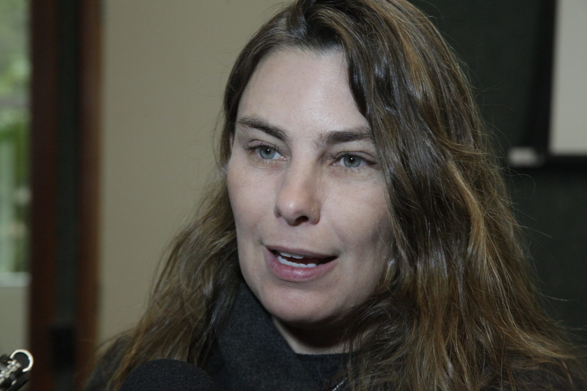 Deputada Paulinha é autora do projeto