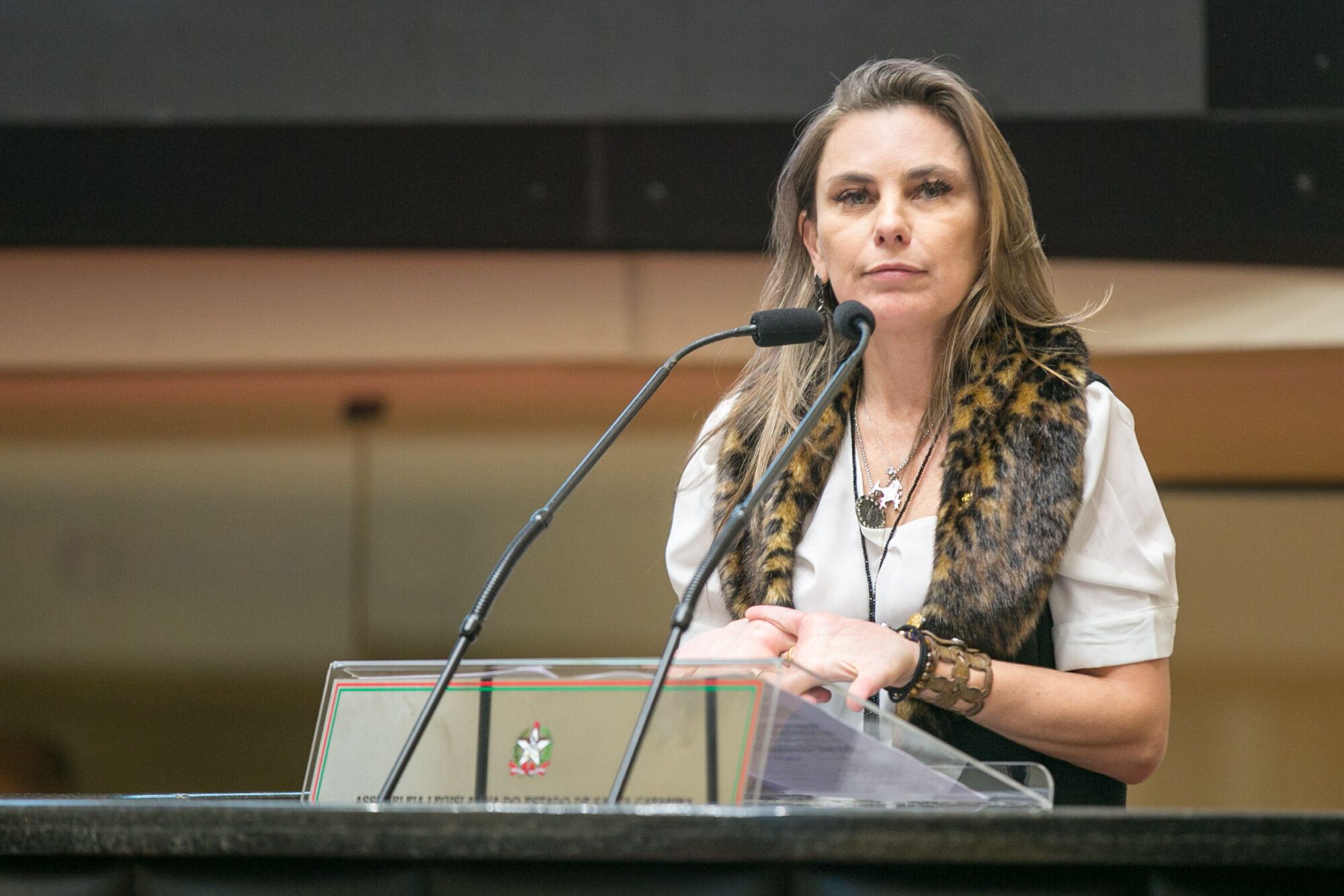 Deputada Paulinha