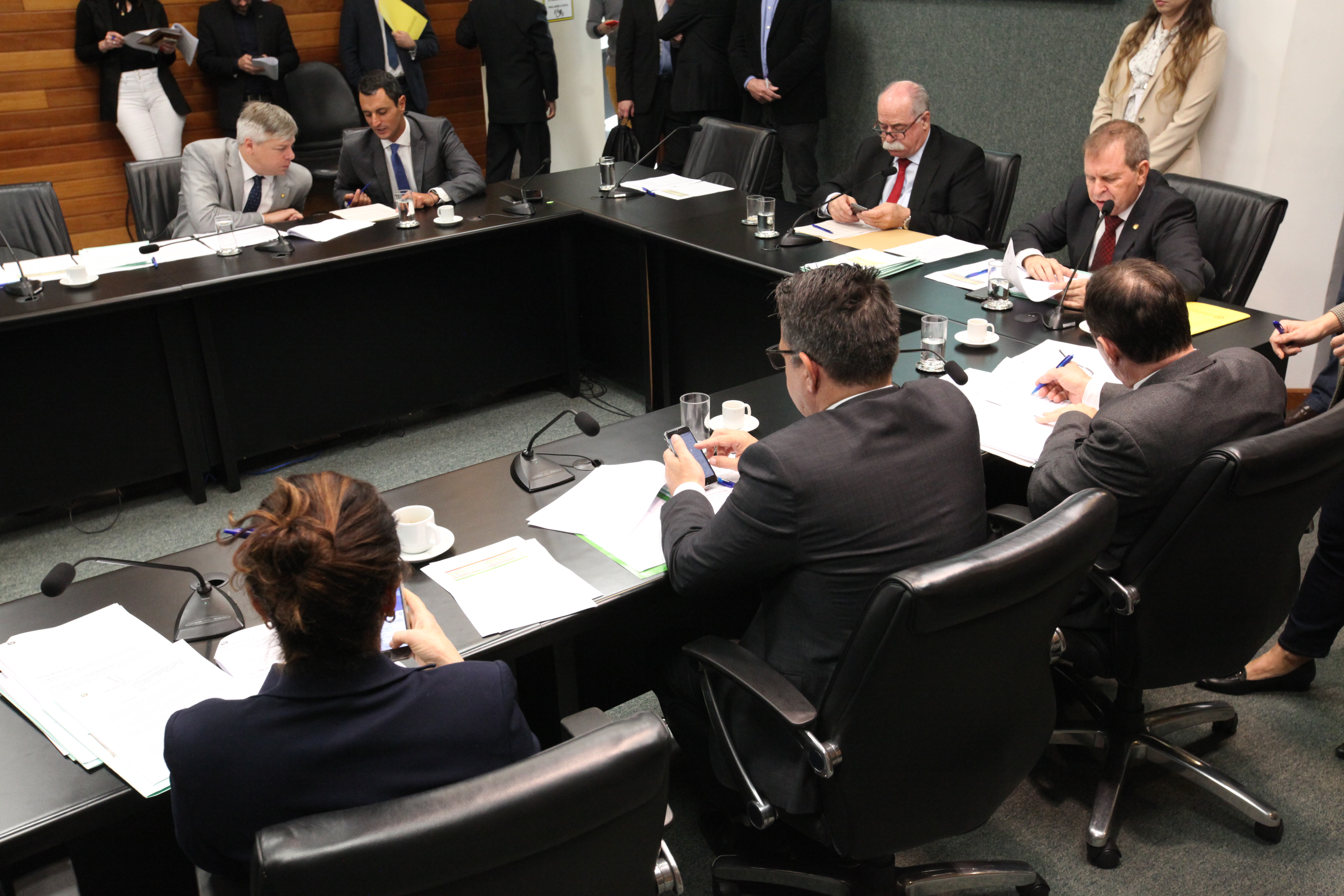 Comissão de Constituição e Justiça