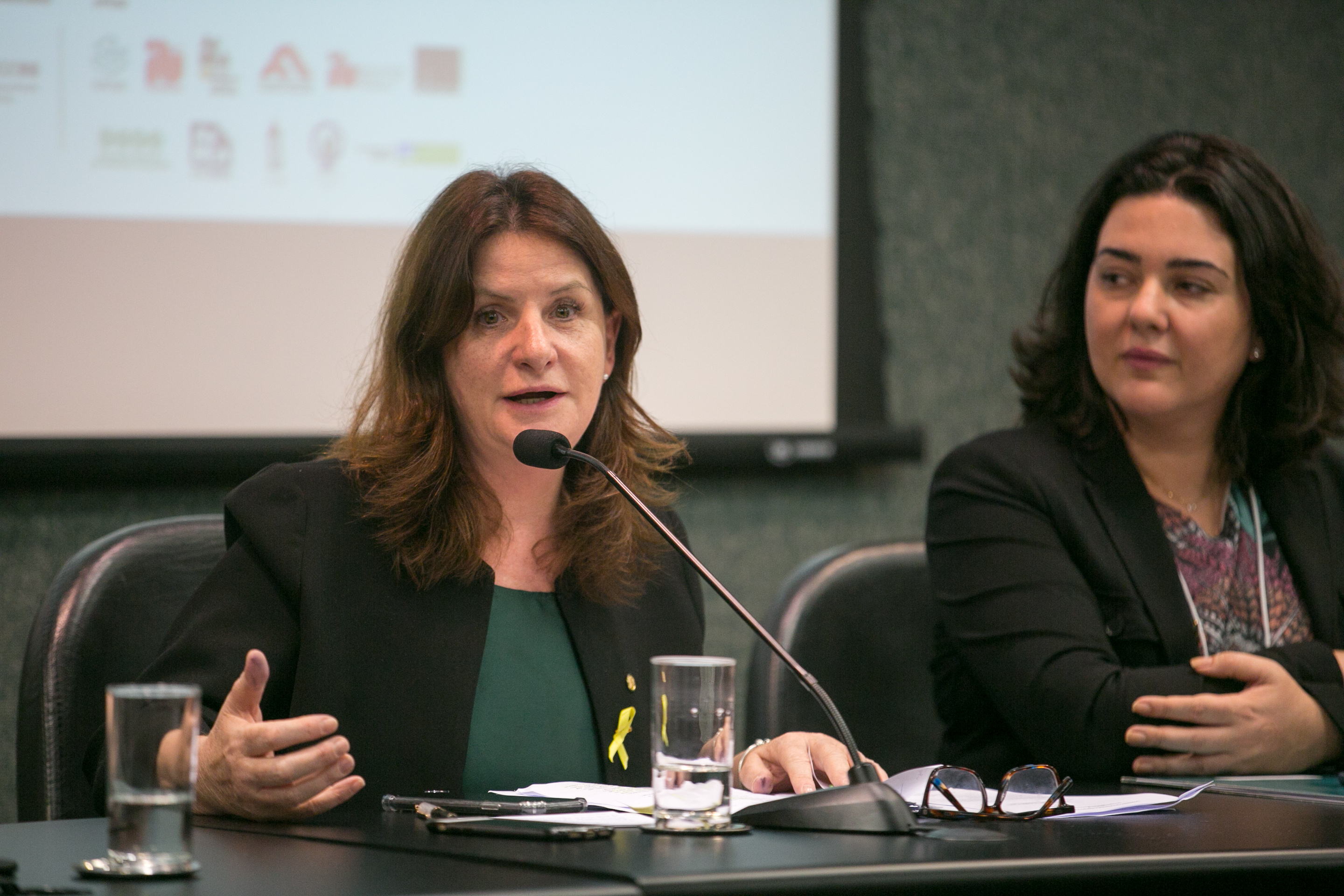 Deputada federal Carmen Zanotto (PPS)