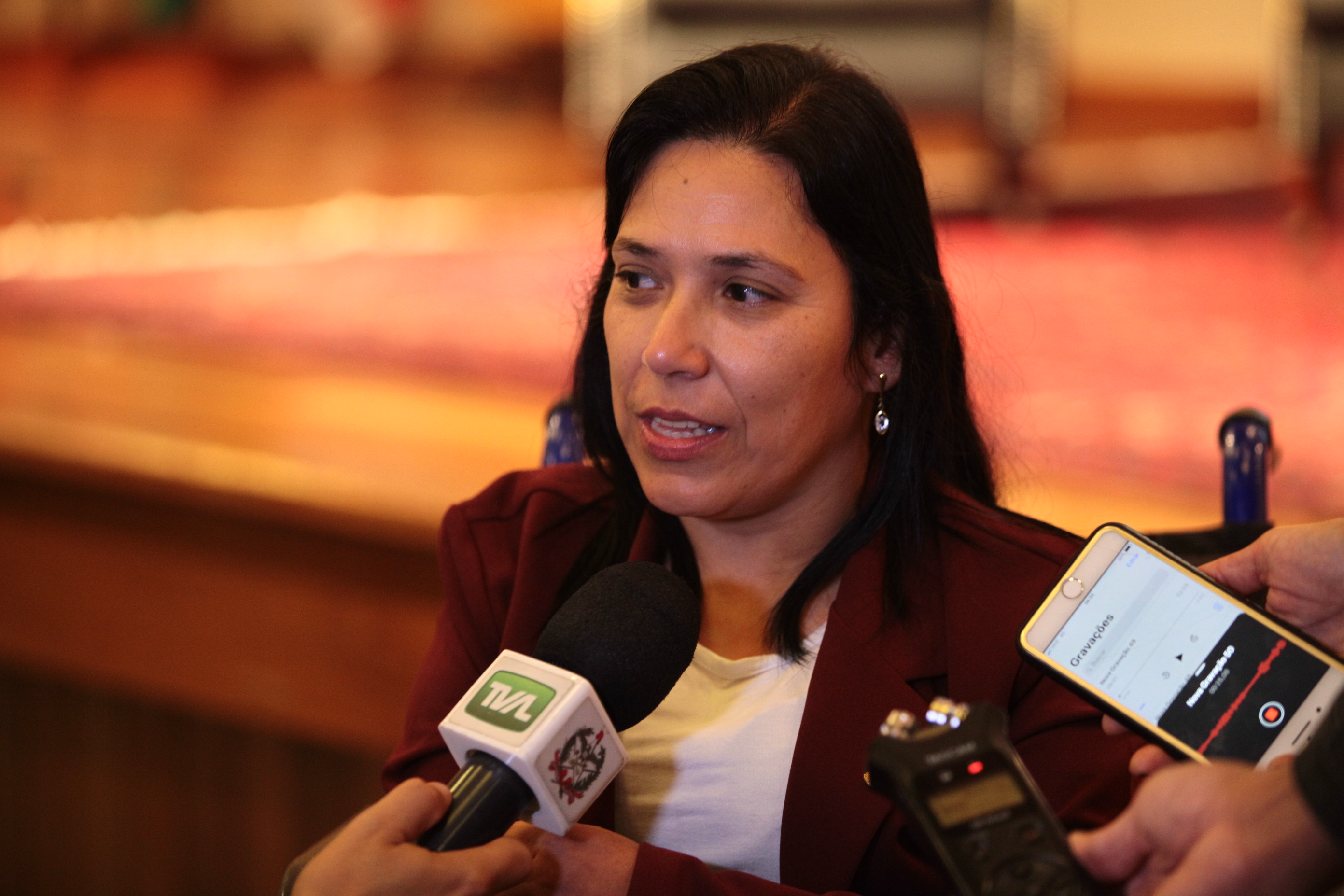 APAE - Seminário Estadual dos Autodefensores - Rosa Maria Silva