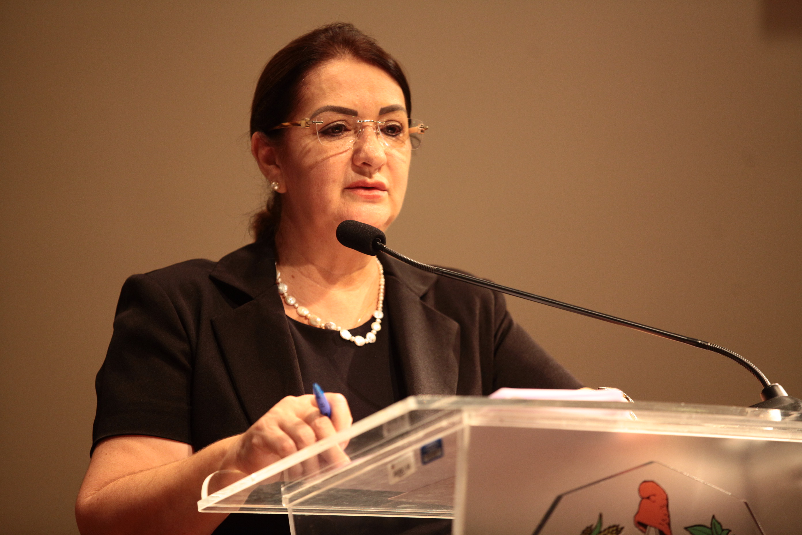 APAE - Seminário Estadual dos Autodefensores - Janice Krasniak