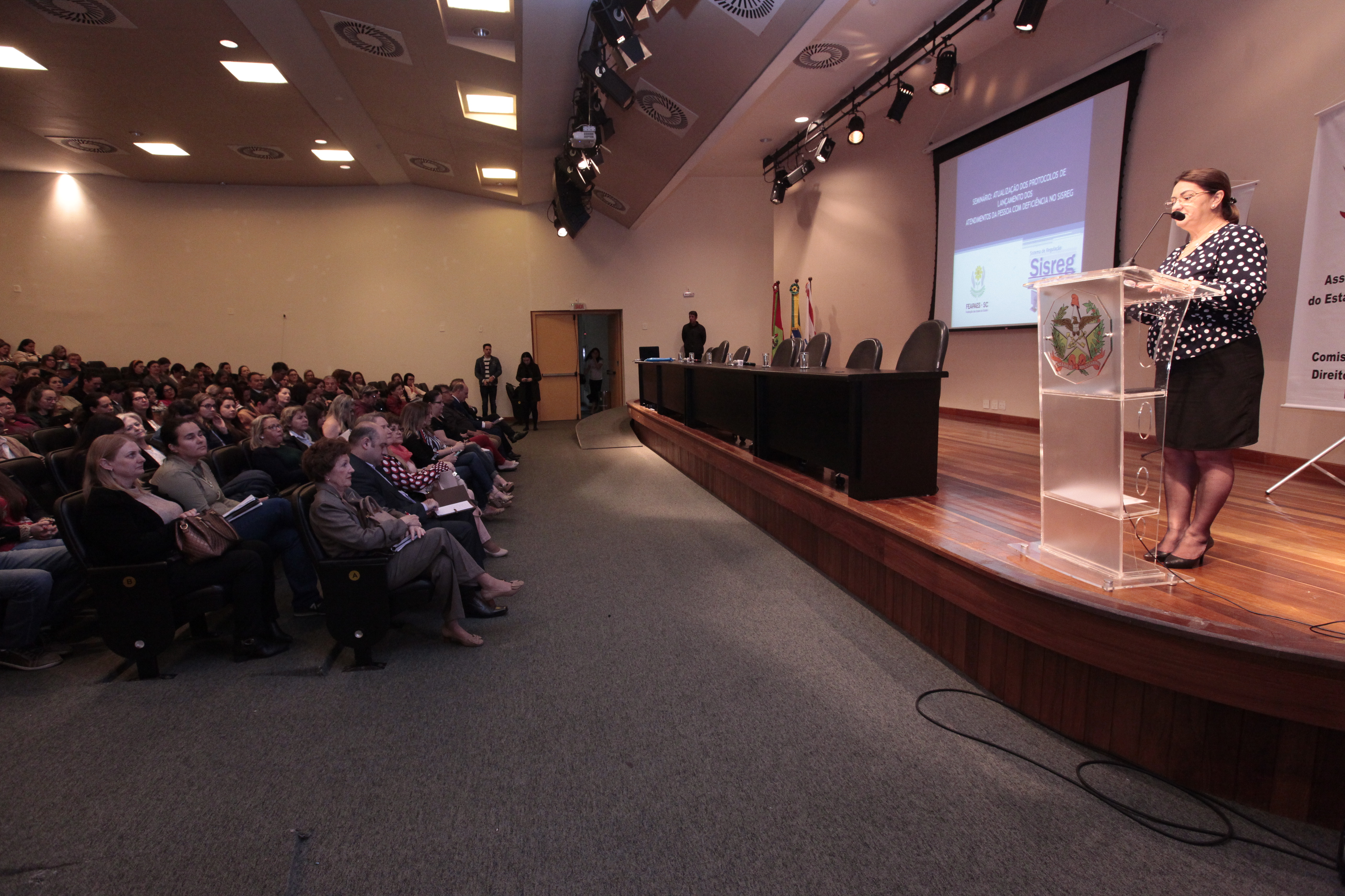 Seminário _ Atualização dos Protocolos de Atendimentos da Pessoa com Deficiência no SISREG