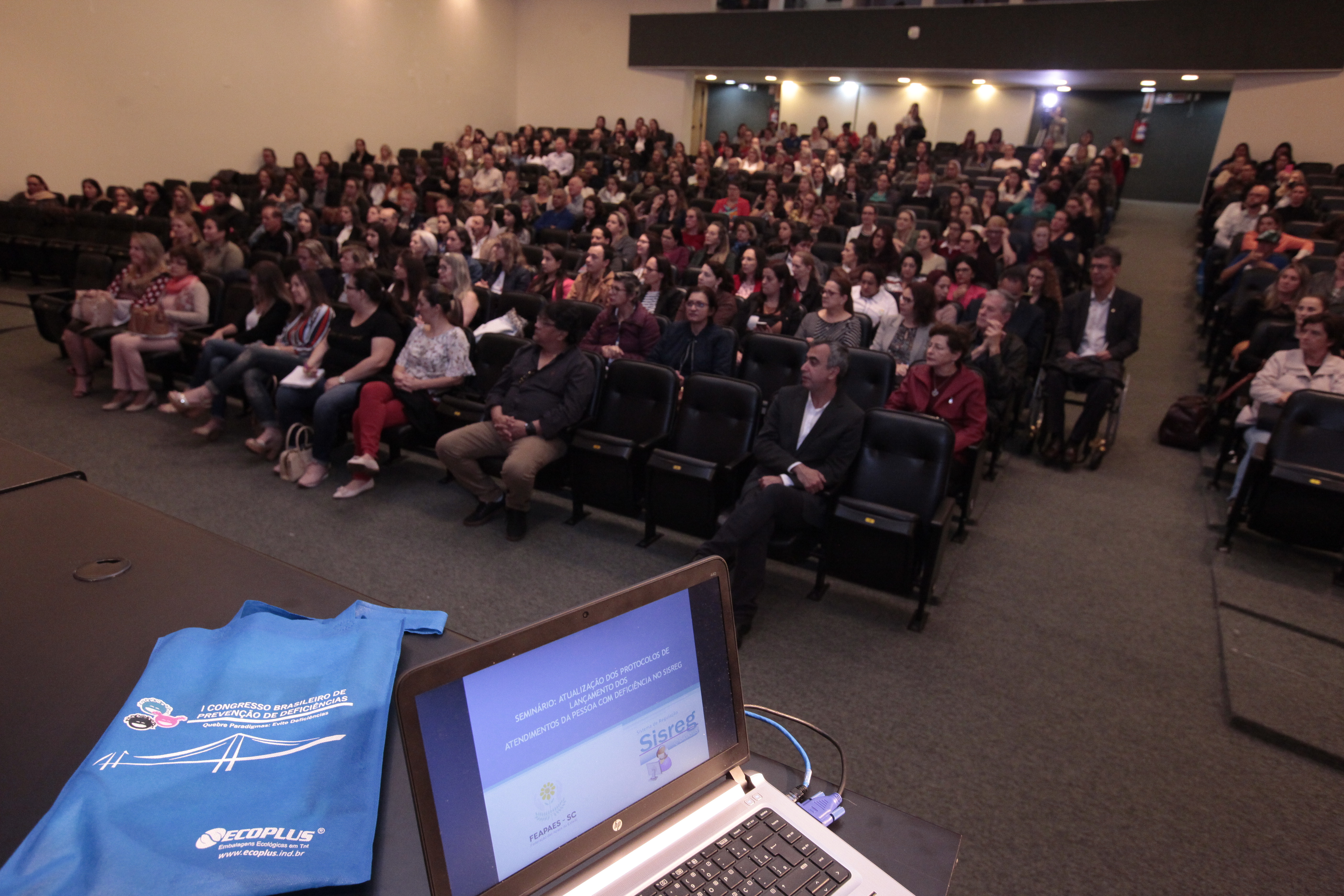 Seminário _ Atualização dos Protocolos de Atendimentos da Pessoa com Deficiência no SISREG