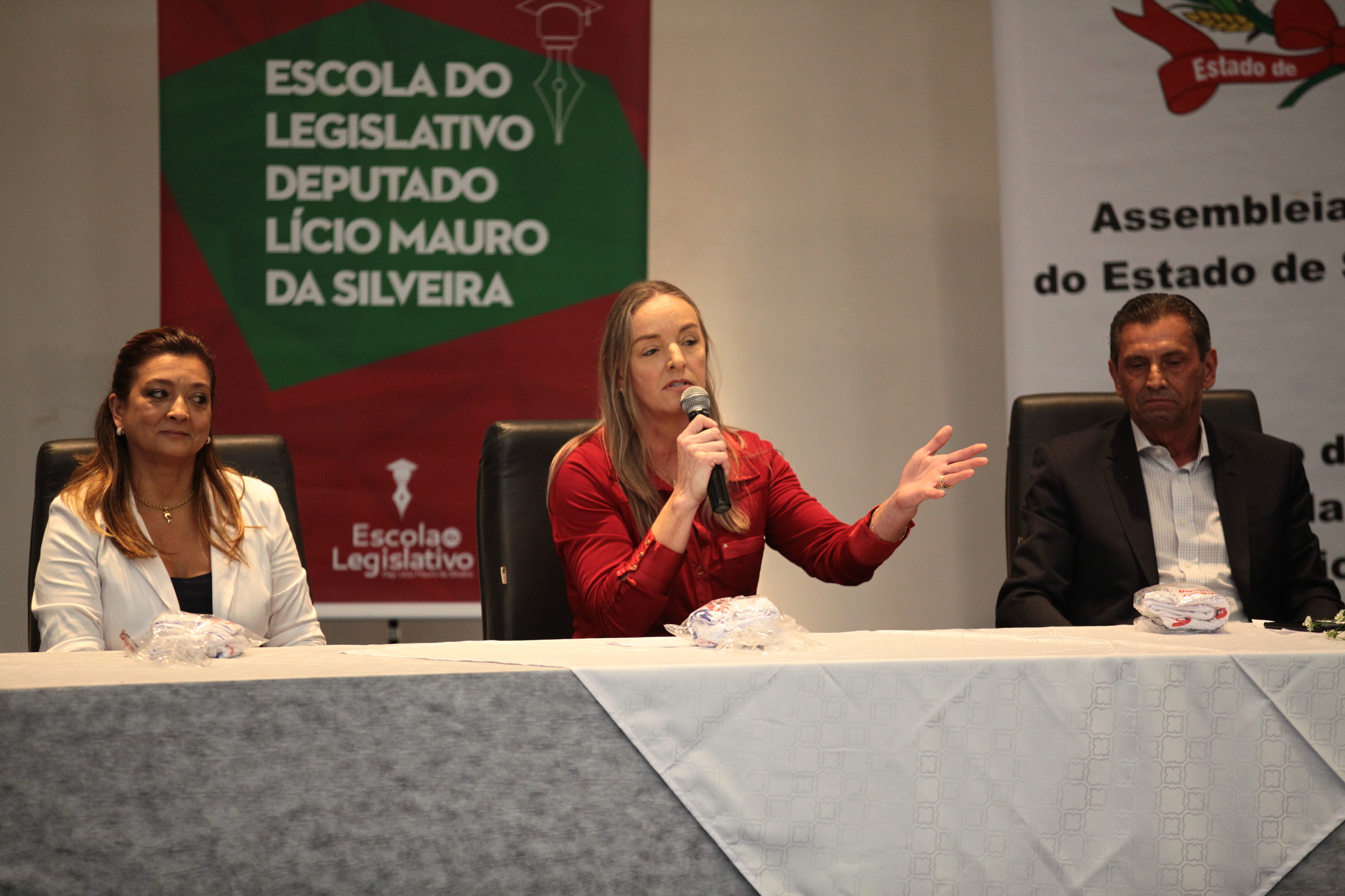 Seminário Autismo na Escola - Cátia Cristiane Punhajen