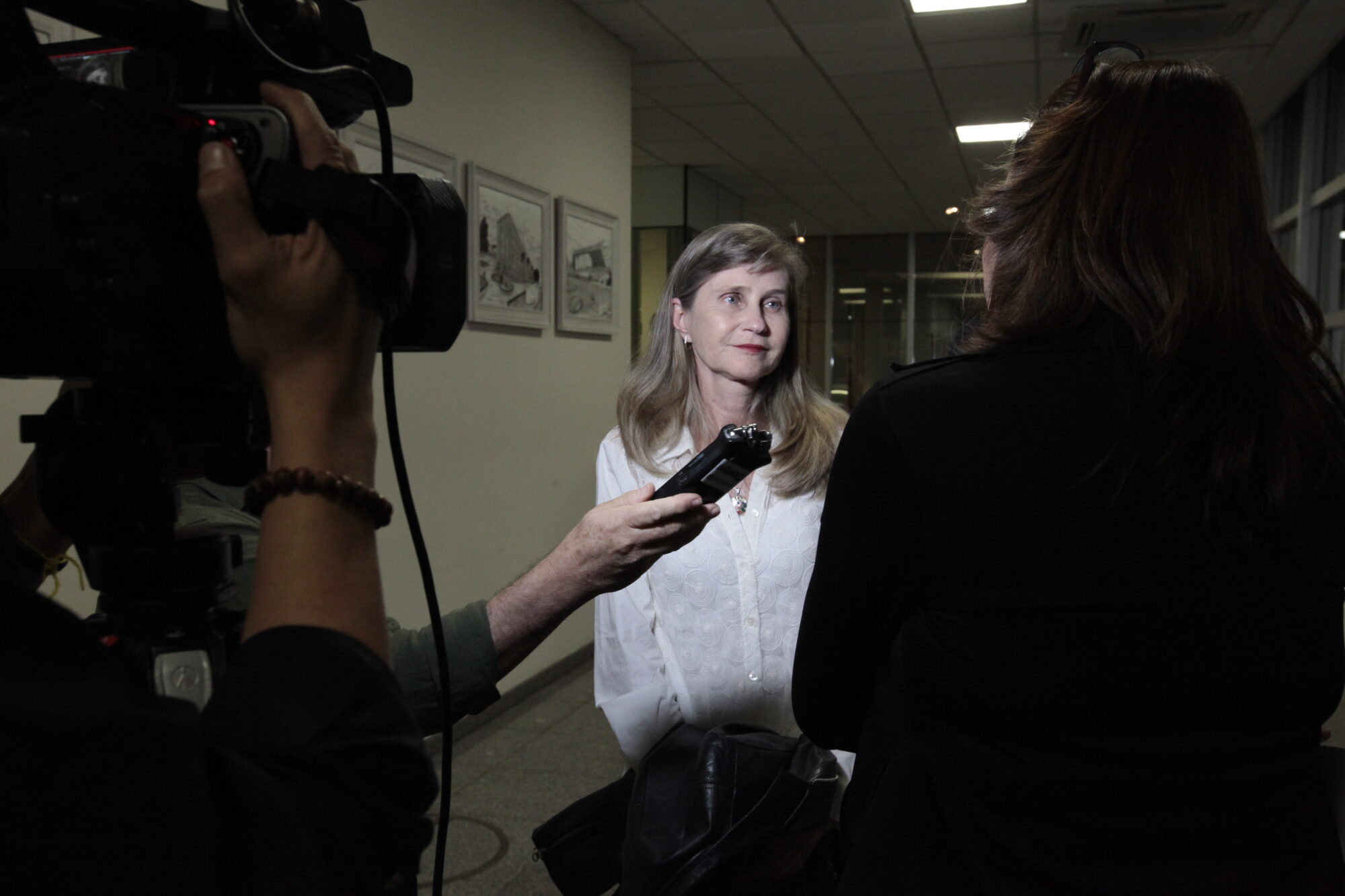 Presidente da Fundação Catarinense de Conservadores e Restauradores de Bens Culturais, Suzane Albers Araújo