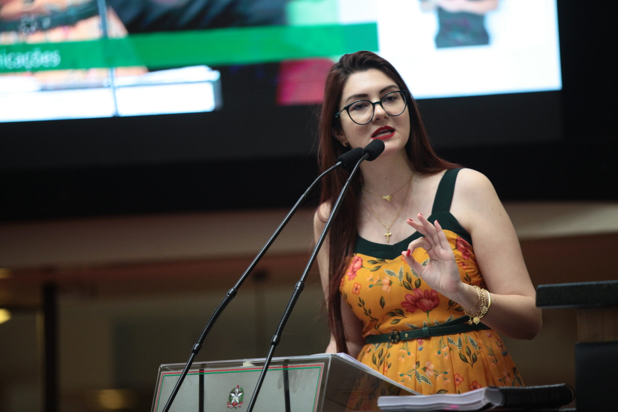 Ideologia de gênero: aqui, não!