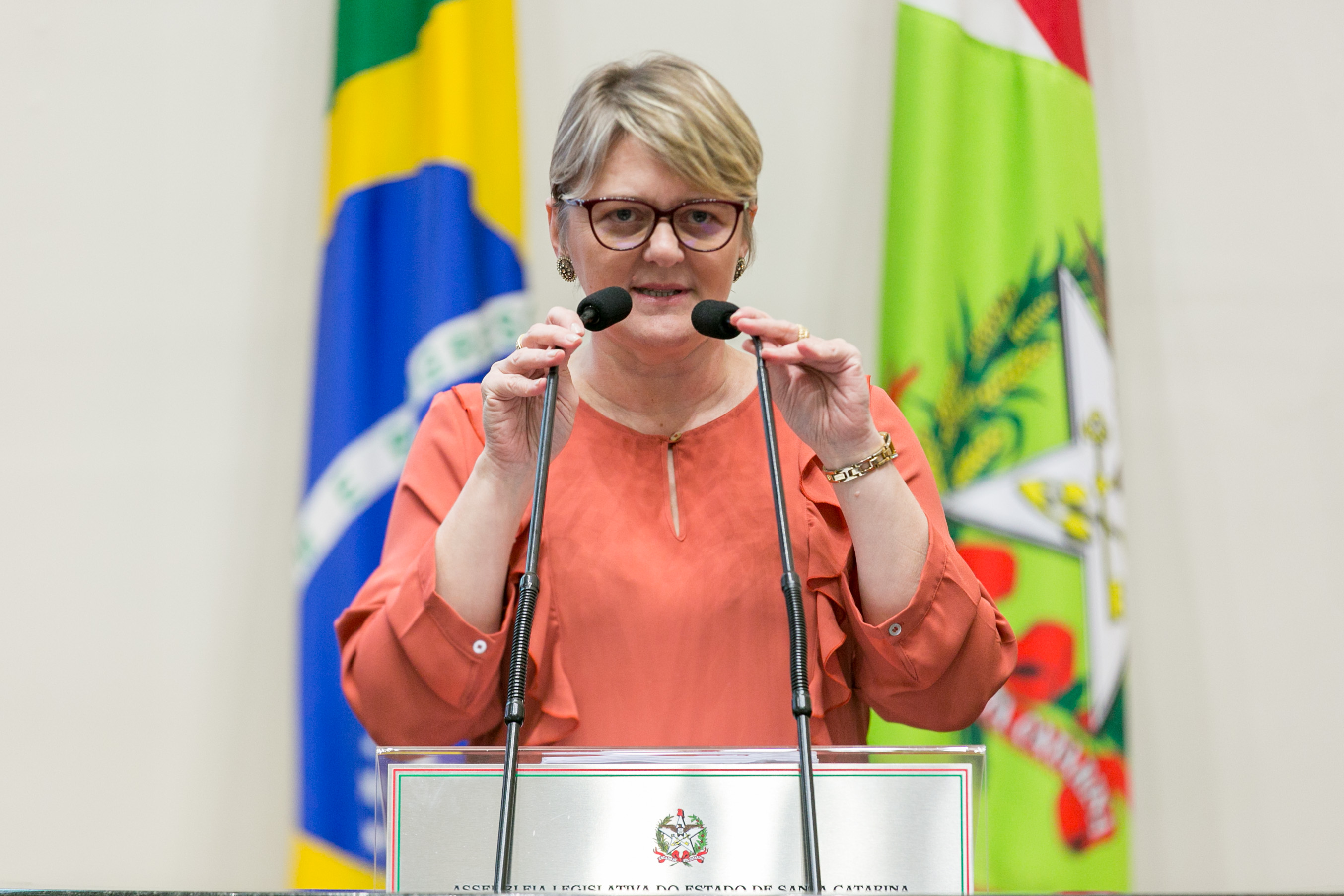 Deputada Luciane Carminatti (PT)