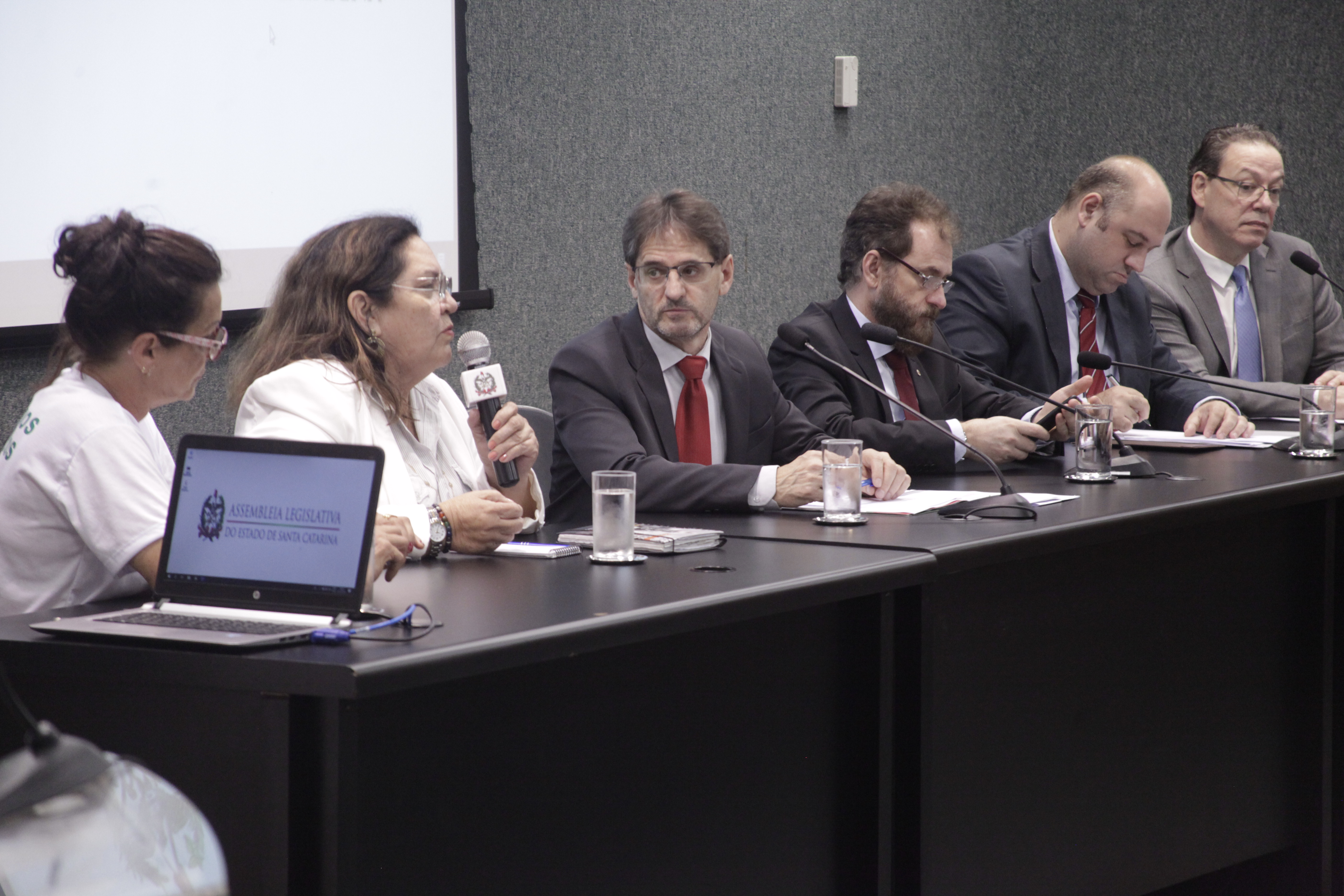 O Tratamento das Pessoas com Fissura Labiopalatina em SC