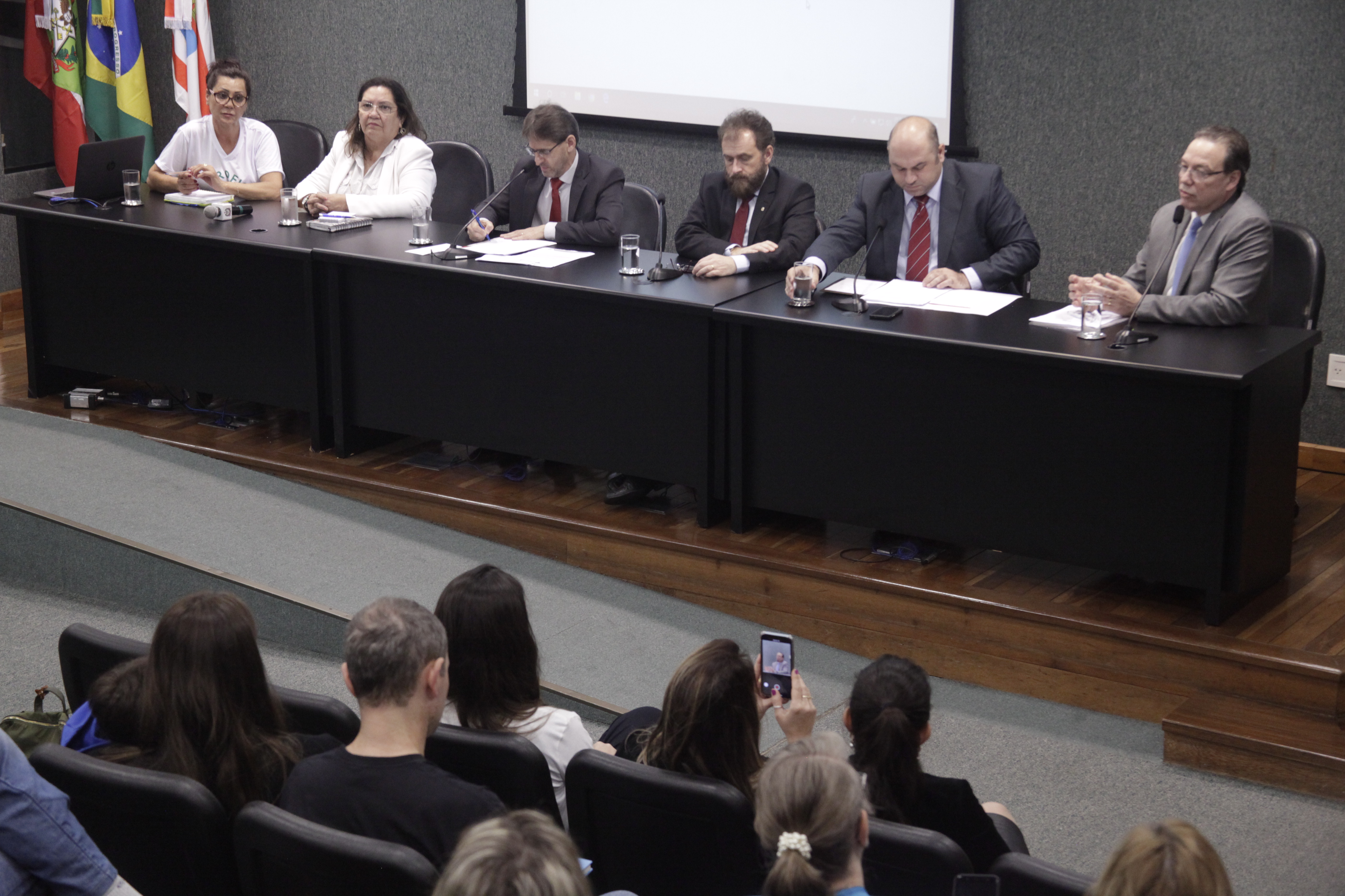 O Tratamento das Pessoas com Fissura Labiopalatina em SC