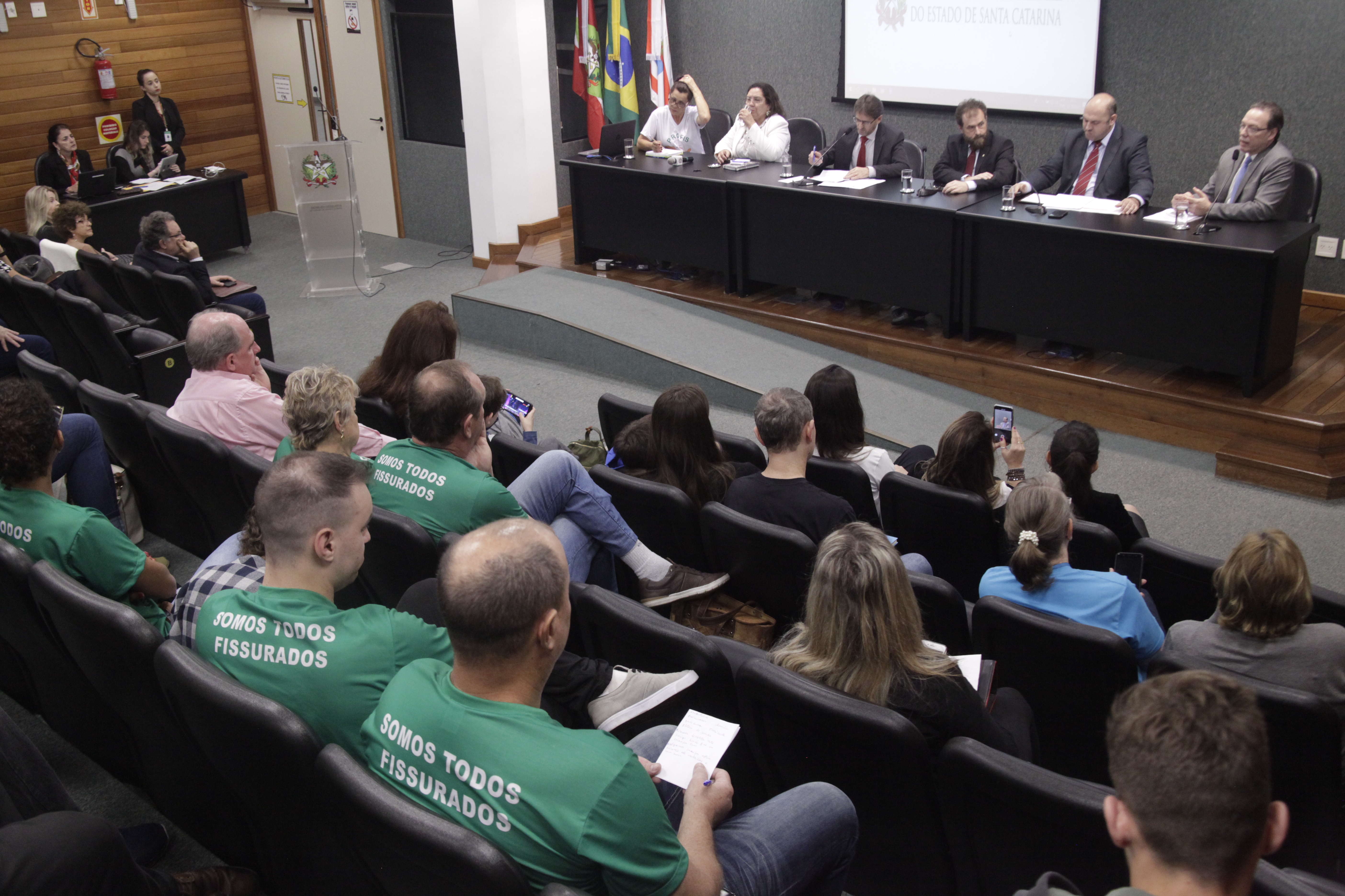 O Tratamento das Pessoas com Fissura Labiopalatina em SC