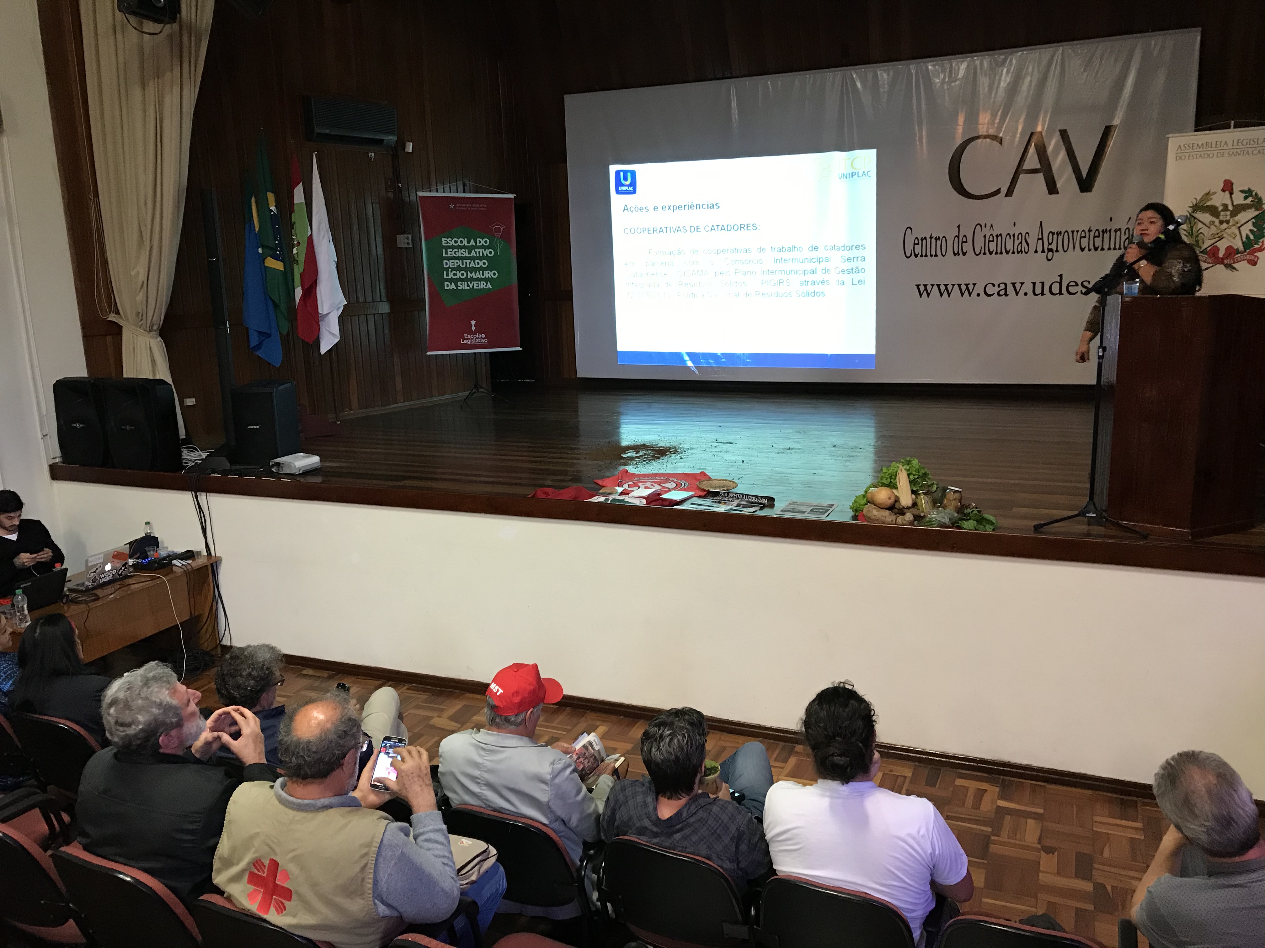 Lages - Seminário Meio Ambiente e Sociedade 2019 - Apresentação dos cases.