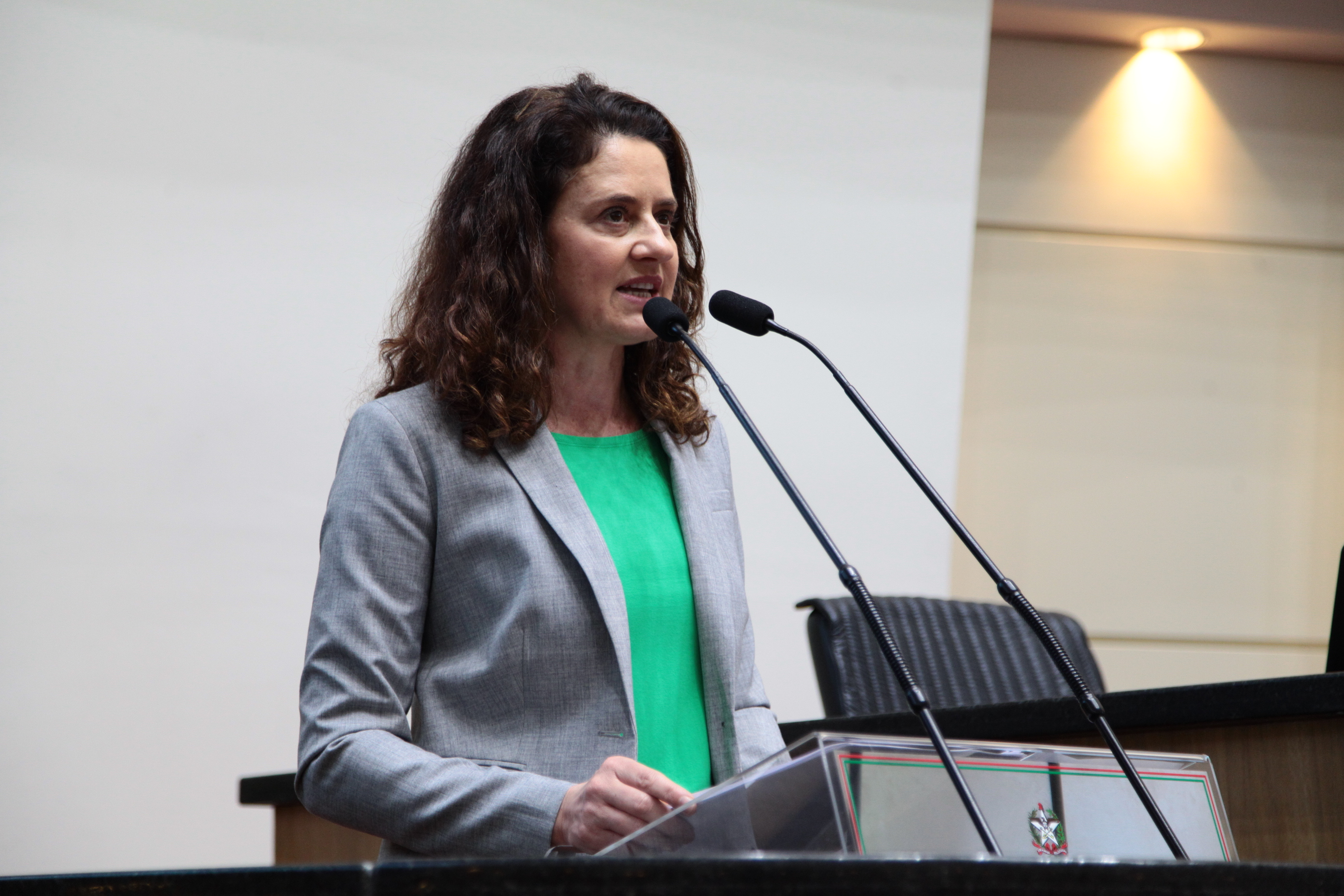 Sessão Ordinária - Deputada Marlene Fengler (PSD)