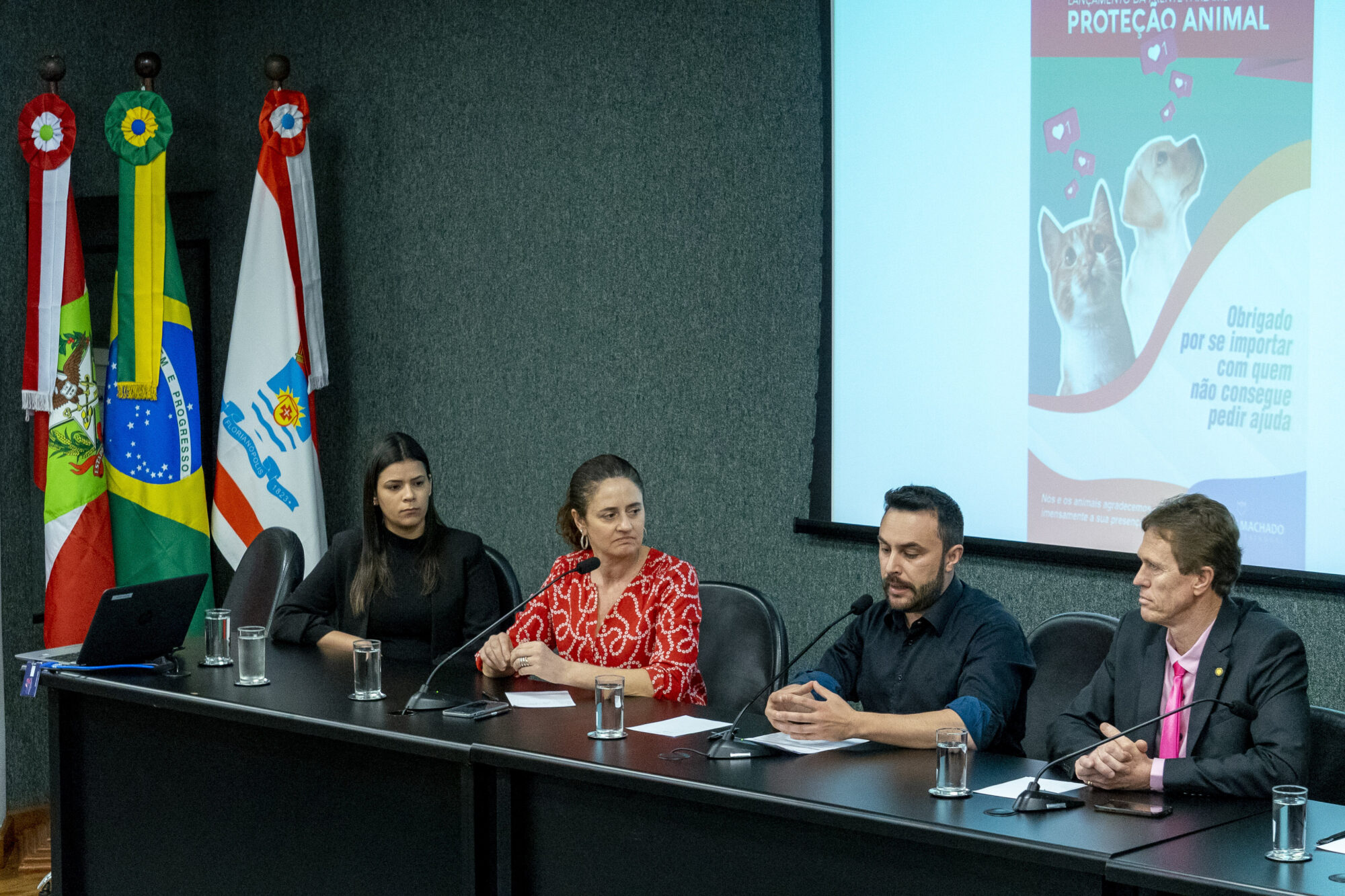 Frente parlamentar atuará em defesa dos animais