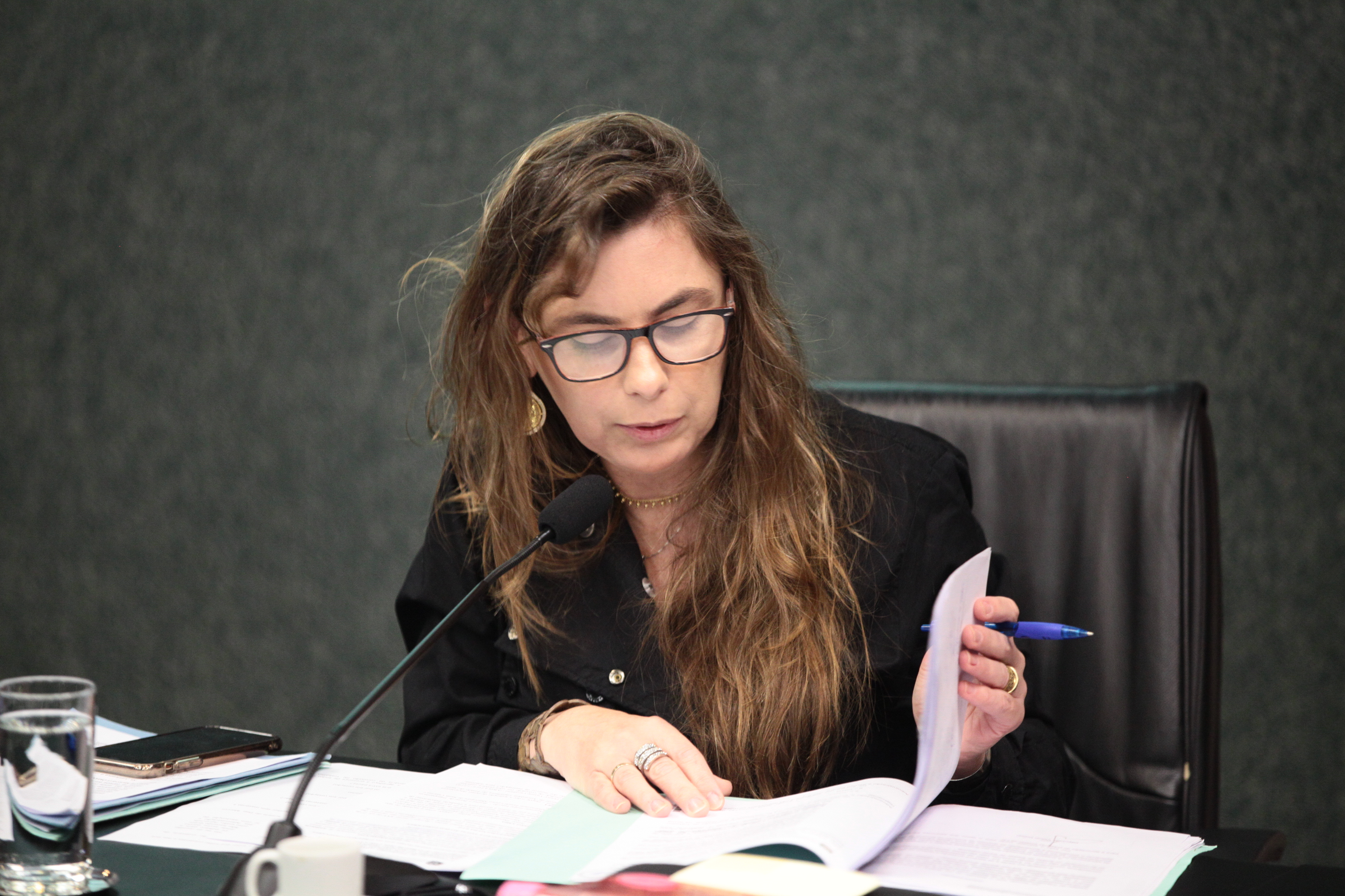 Comissão de Trabalho - Deputada Ana Paula da Silva (PDT)