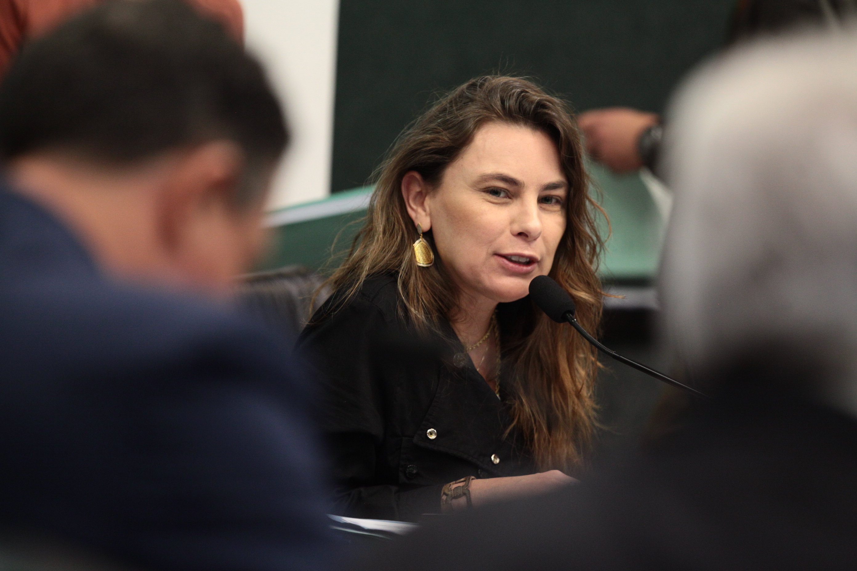 Comissão de Trabalho - Deputada Ana Paula da Silva (PDT)