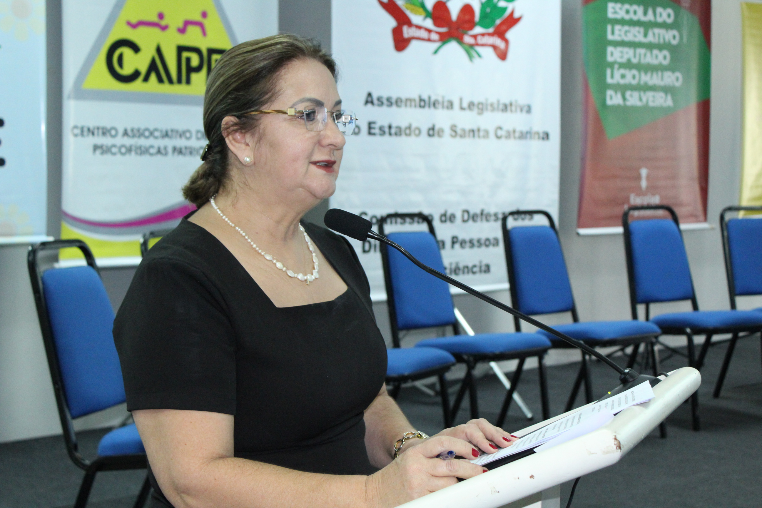 III Seminário Regional sobre Síndrome de Down em Chapecó