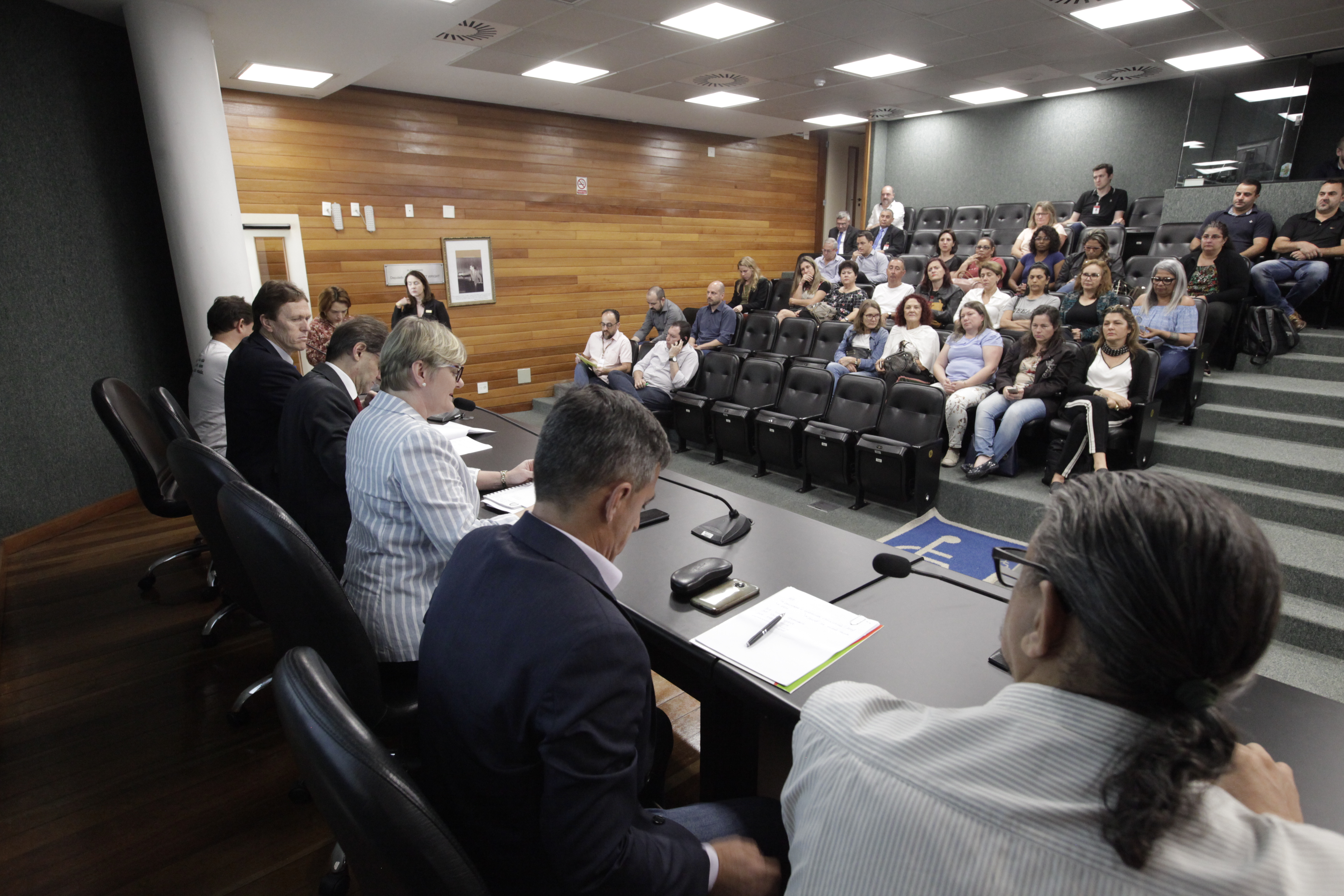 Audiência Pública Sobre ATP
